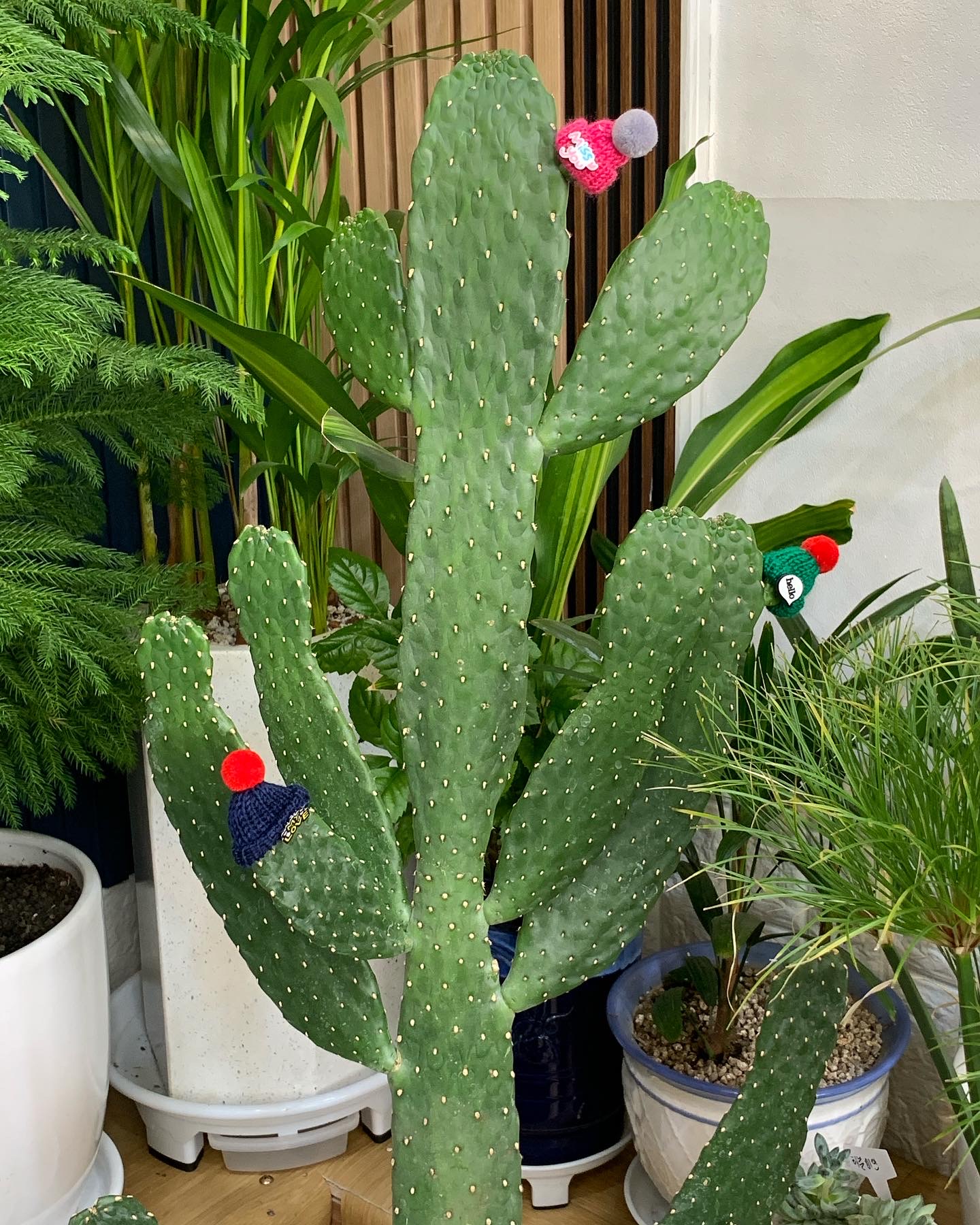 지우꽃집