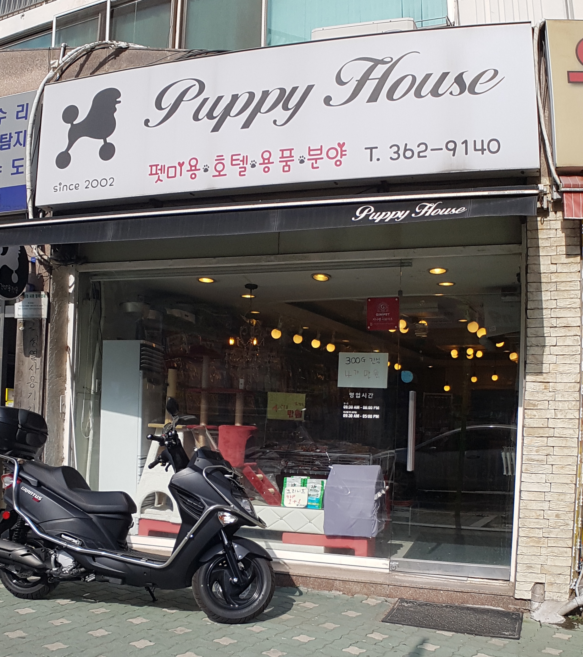 퍼피하우스 대표 이미지