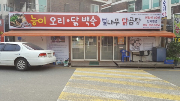 벌나무닭곰탕