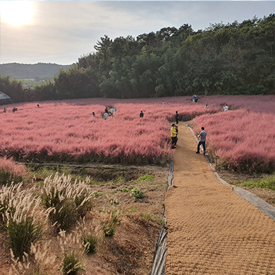 고창청농원