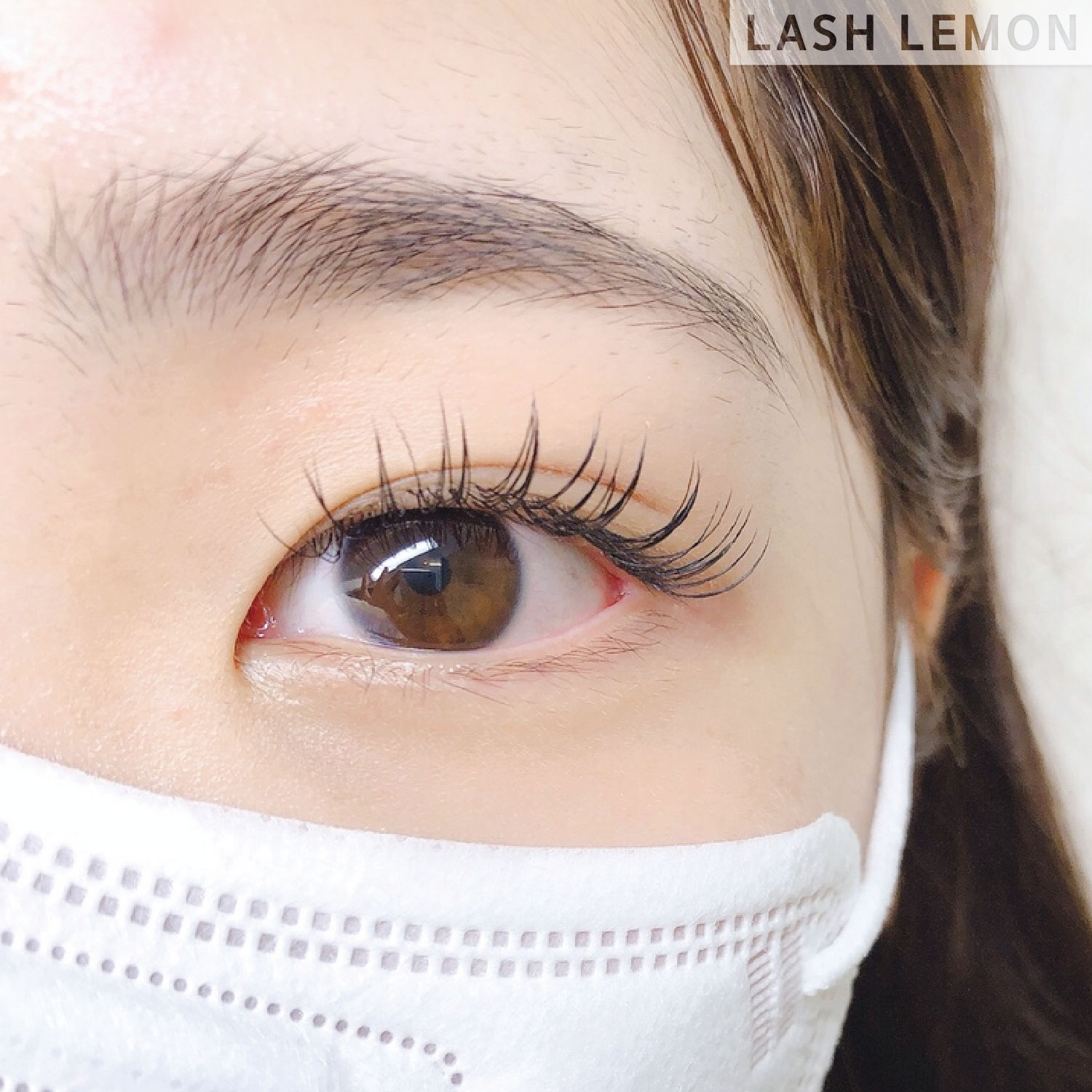 래쉬 레몬 대표 이미지