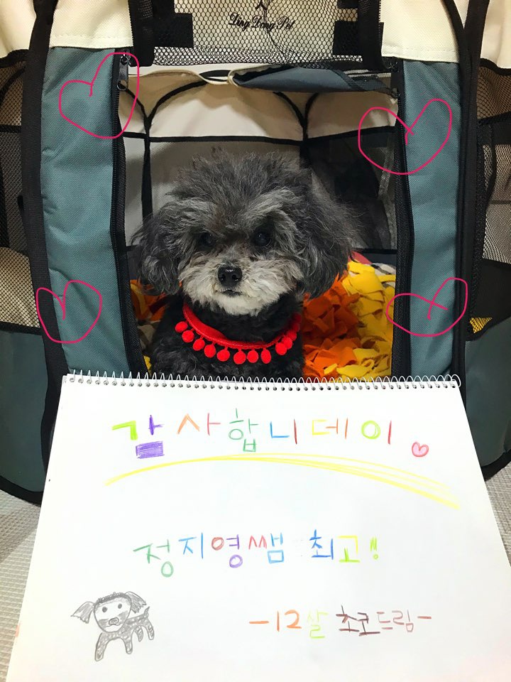 쓰담 에듀 대표 이미지