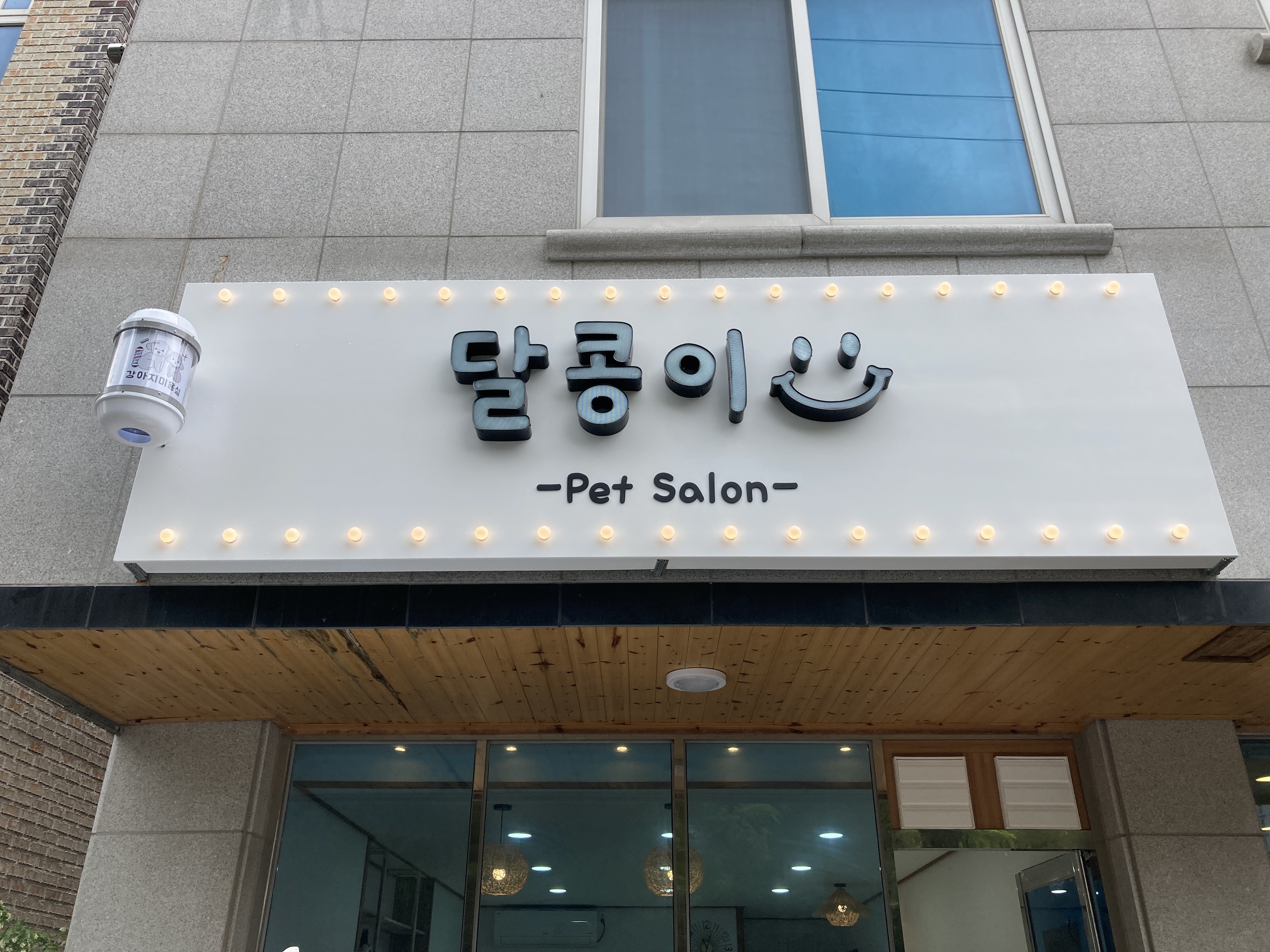 달콩이 대표 이미지