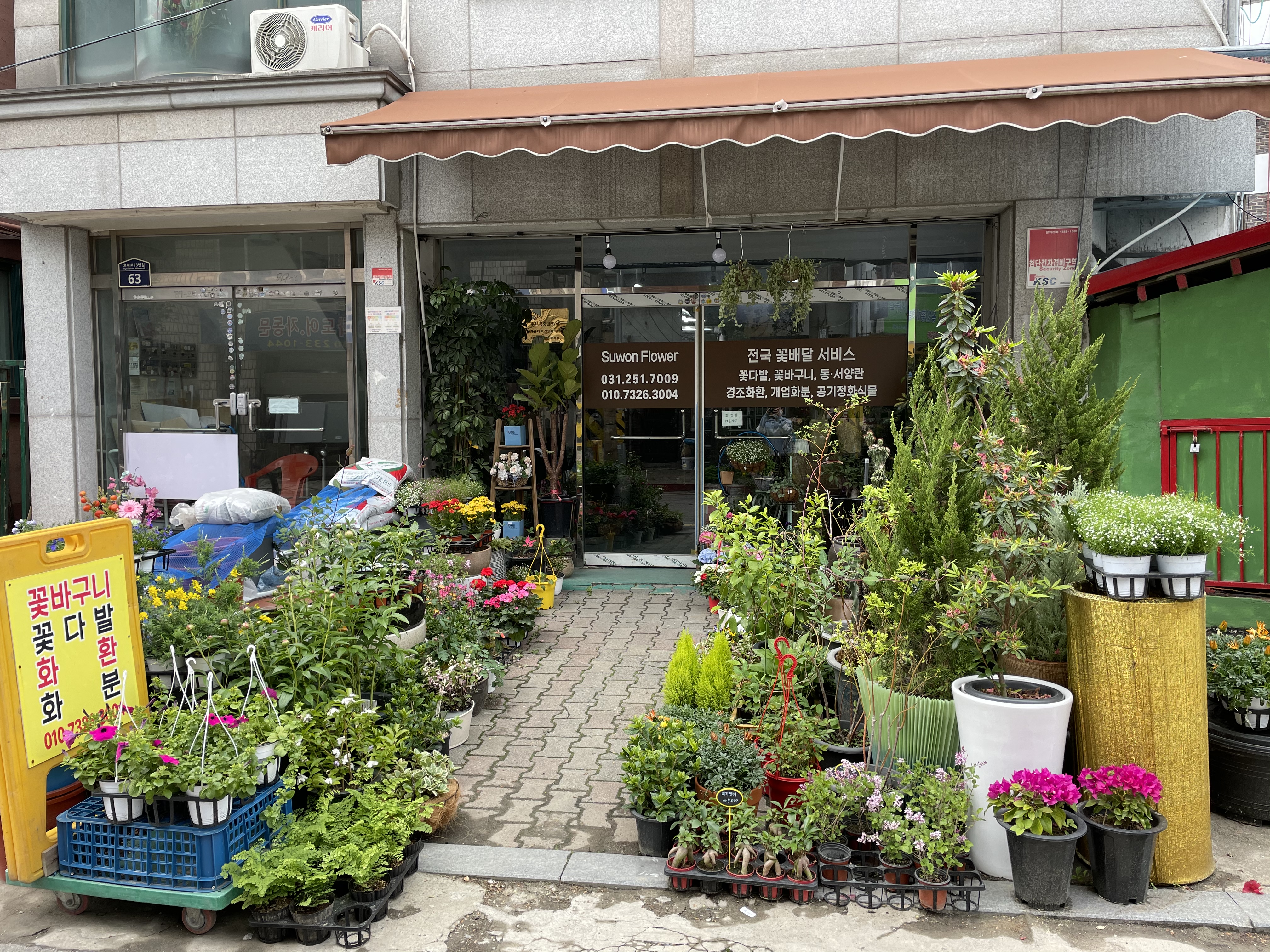 수원꽃백화점