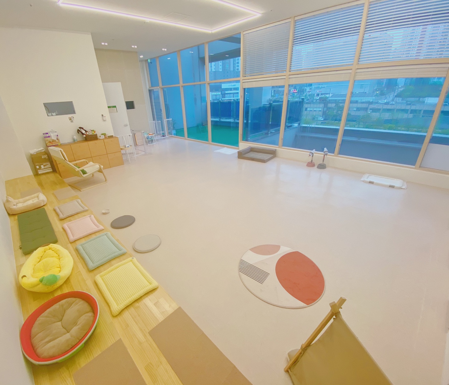 몽쥬 대표 이미지