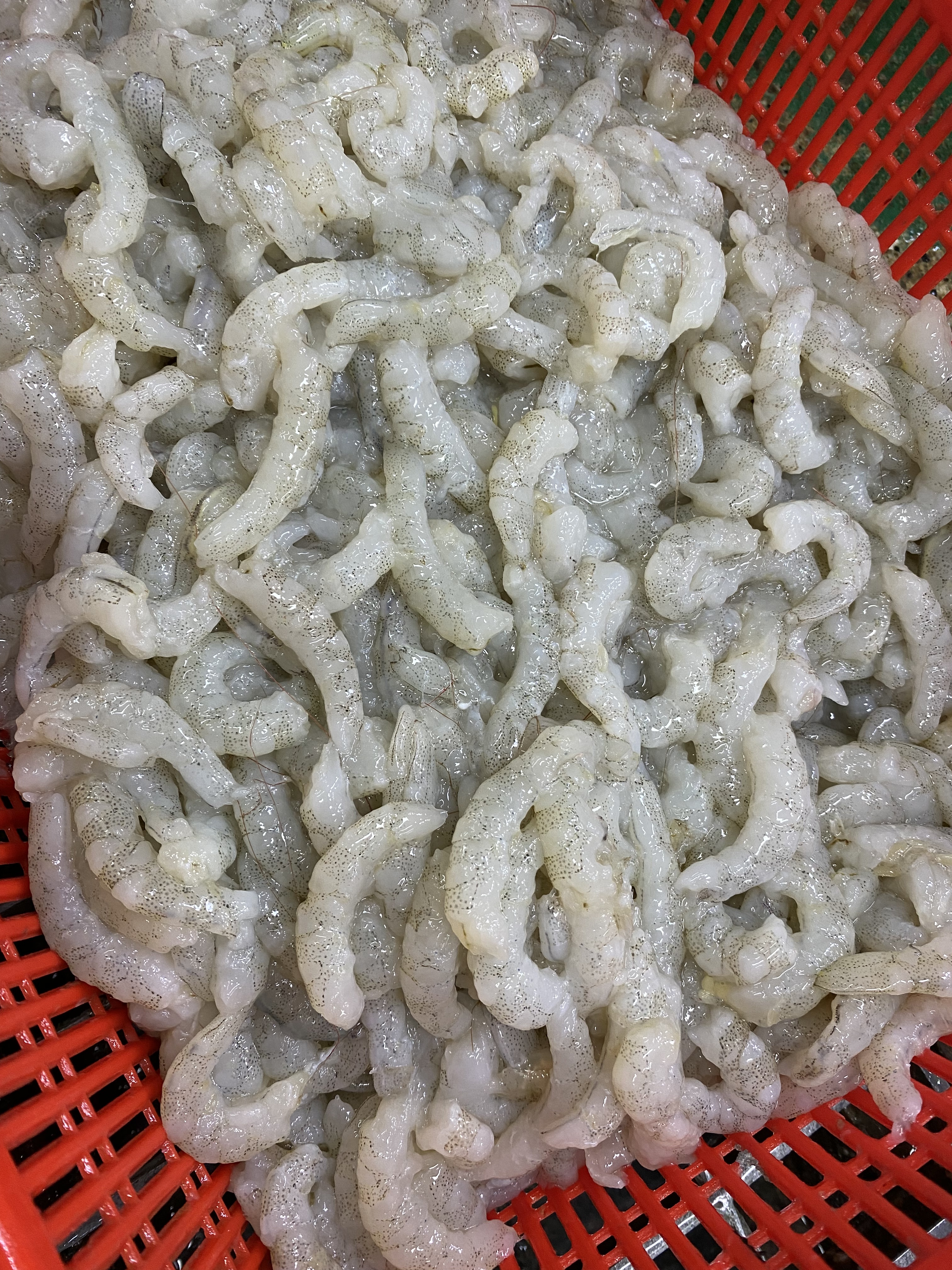 중앙수산