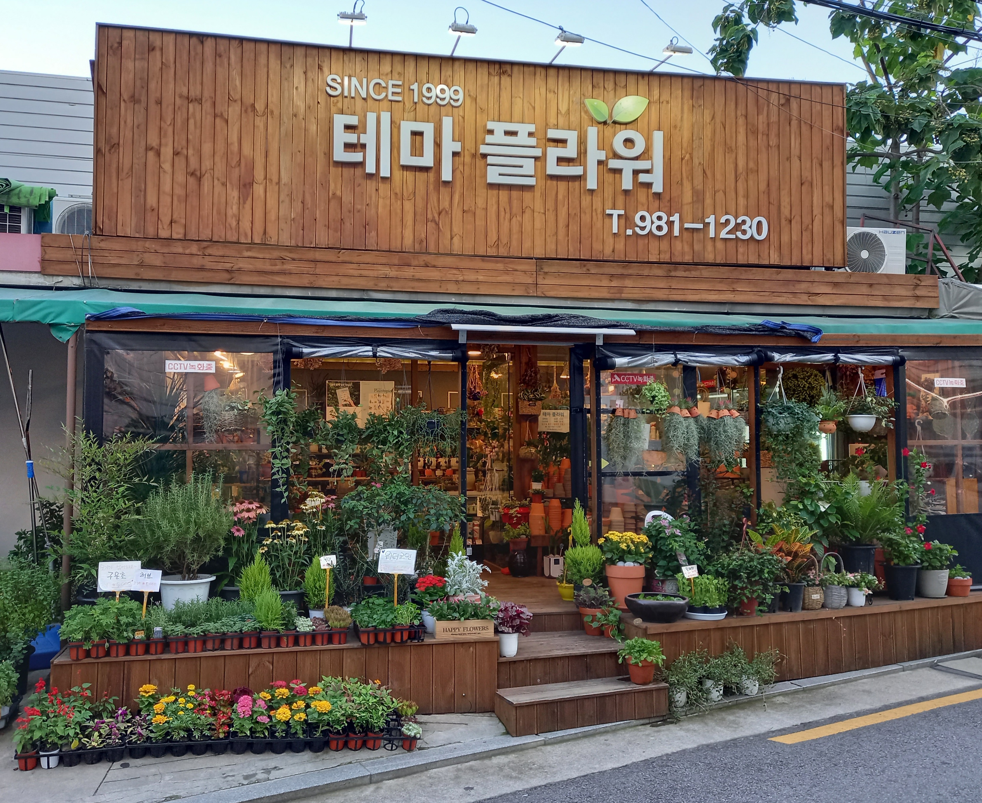 테마플라워