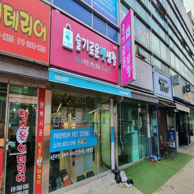 서울 금천구 애견용품 전문업체 추천 TOP5 강아지용품 애완용품 애견용품점 반려동물용품점 강아지스카프 애견용품샵 강아지목줄 슬기로운펫생활