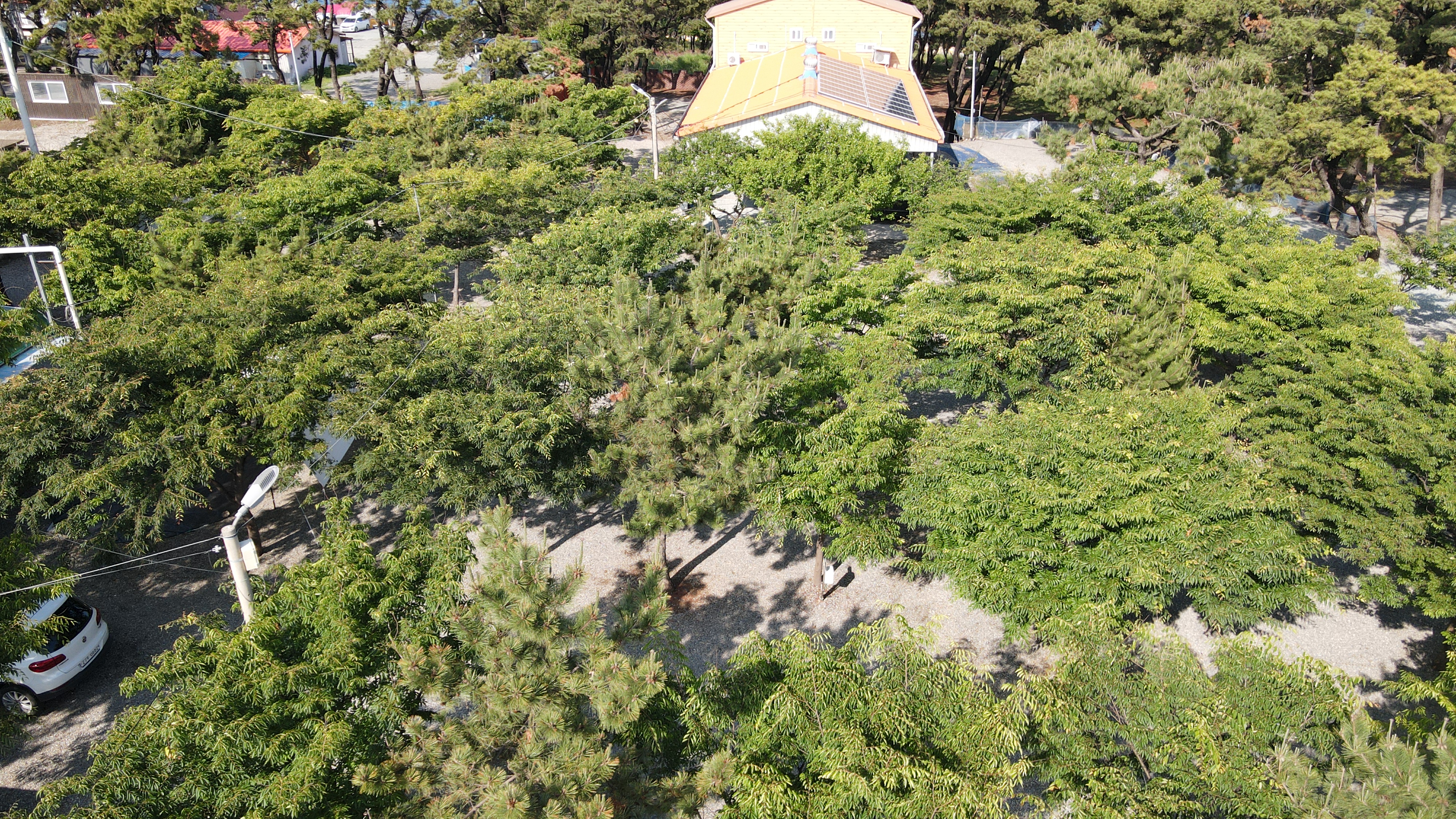 그린오토캠핑장