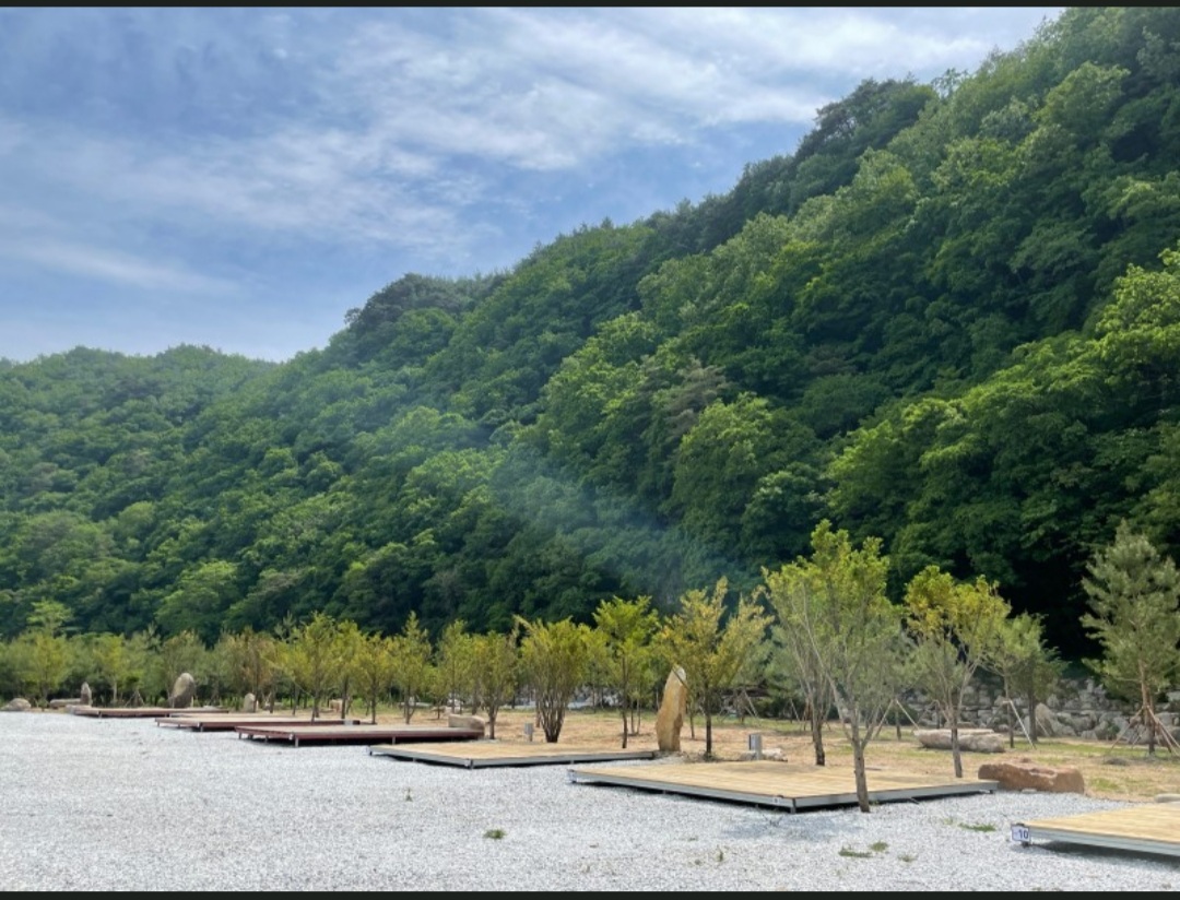 파인트리캠핑장