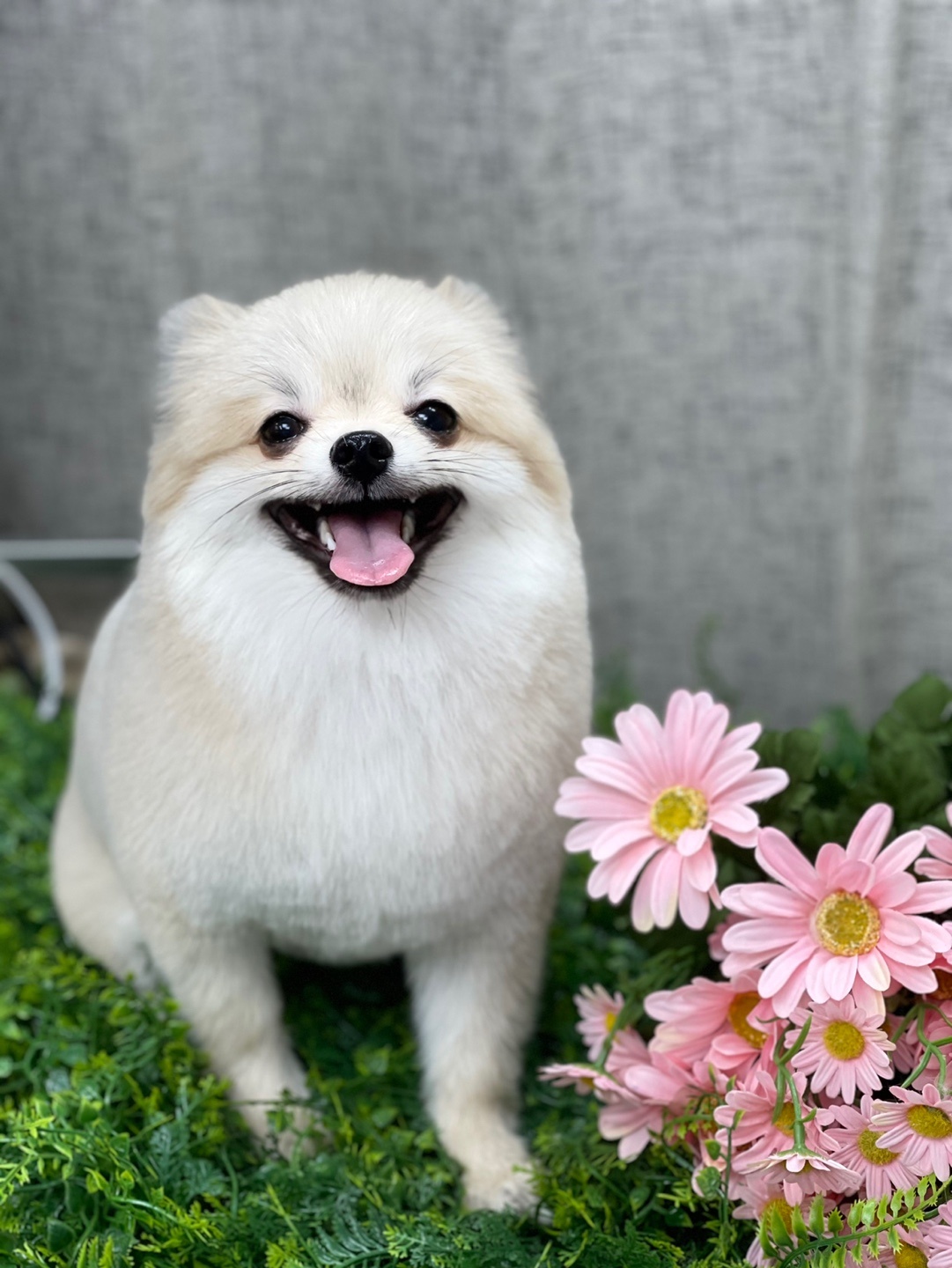 이미지