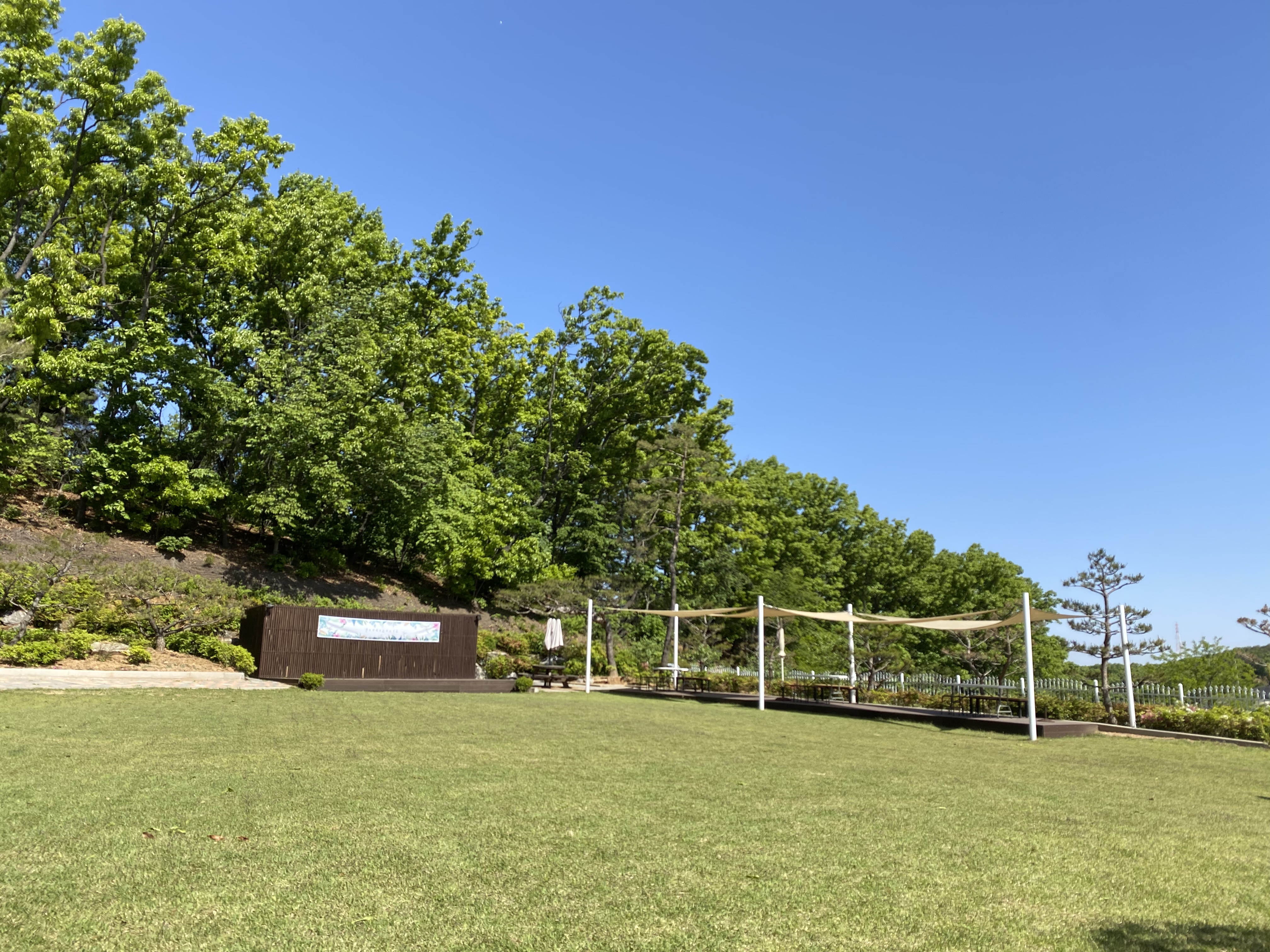 모리에 대표 이미지