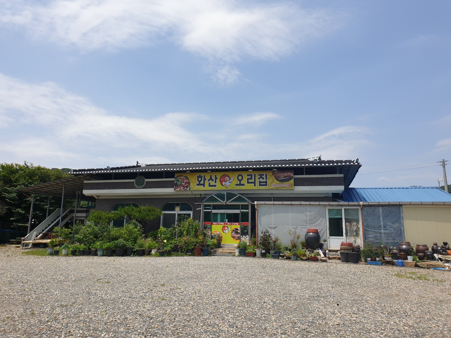 화산오리 설명사진