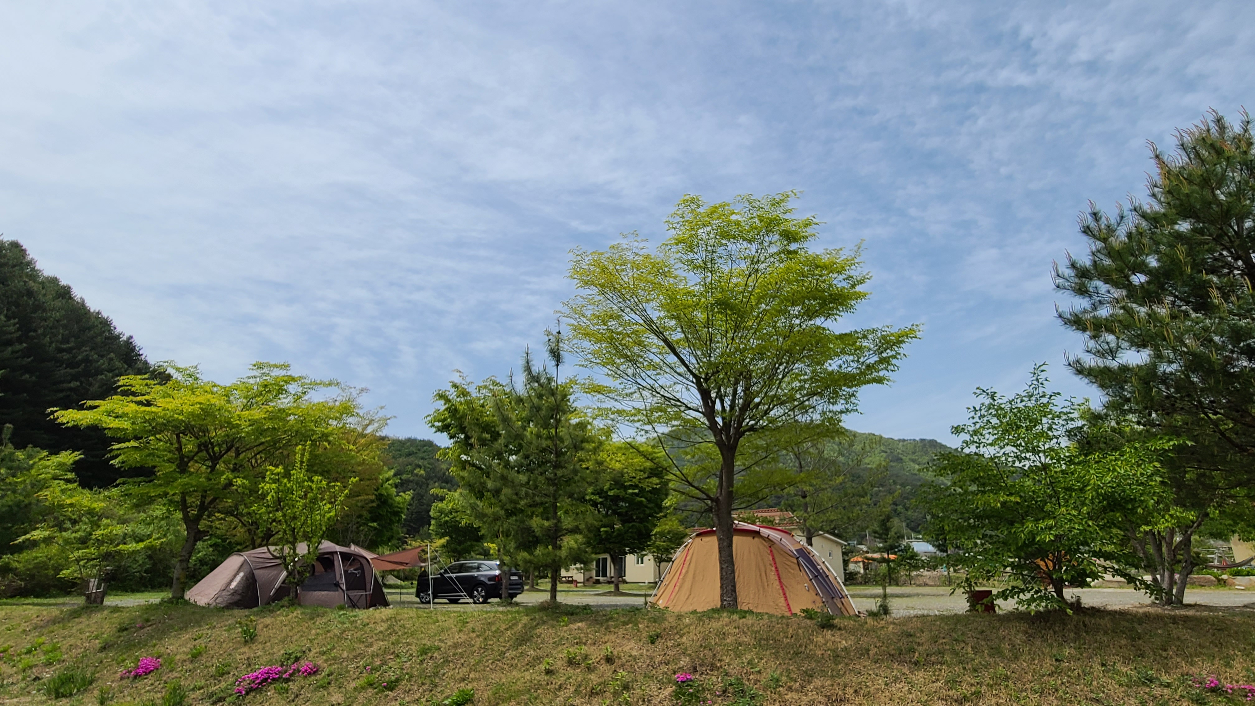 라라솔캠핑장&펜션