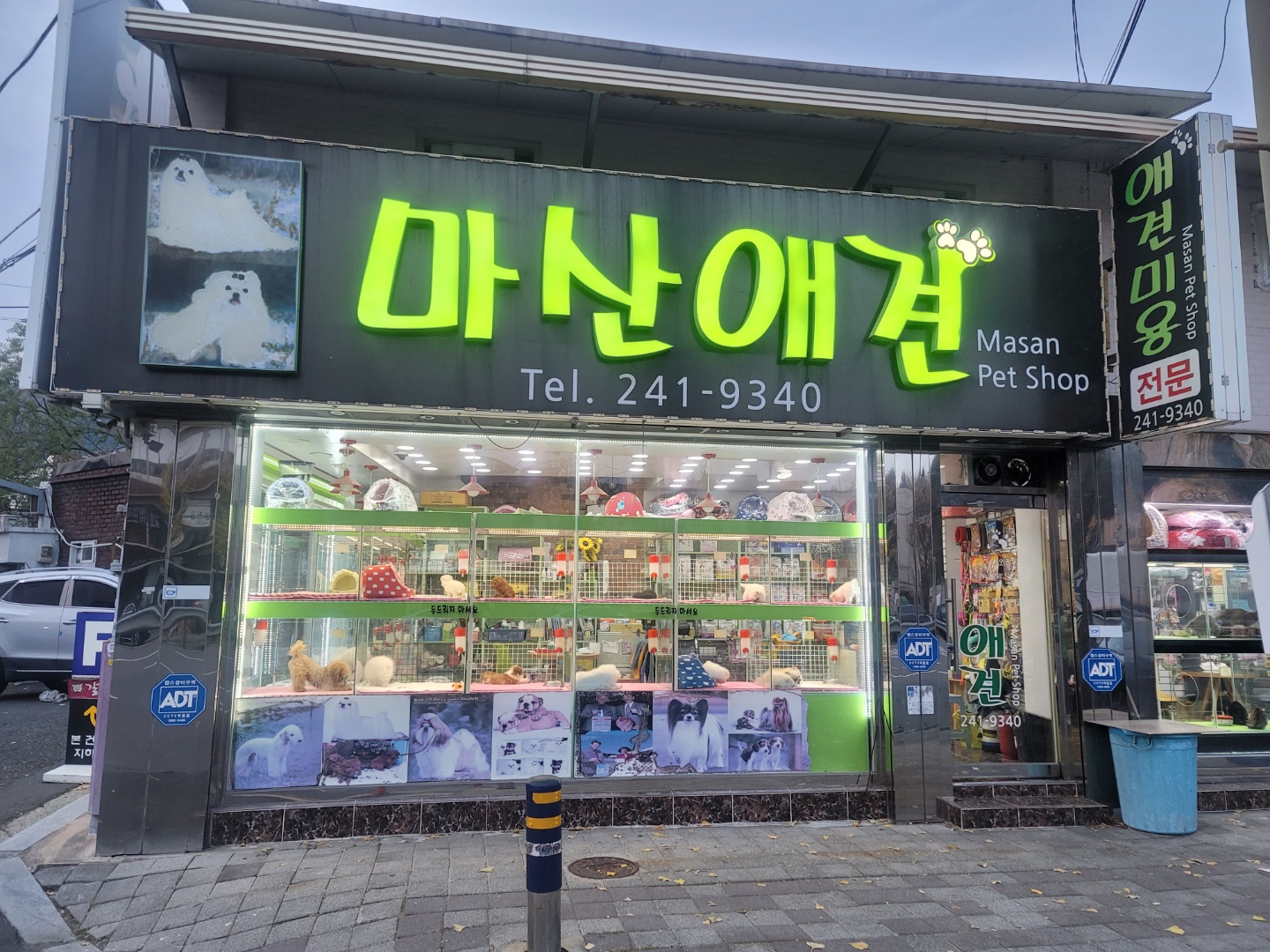 마산애견