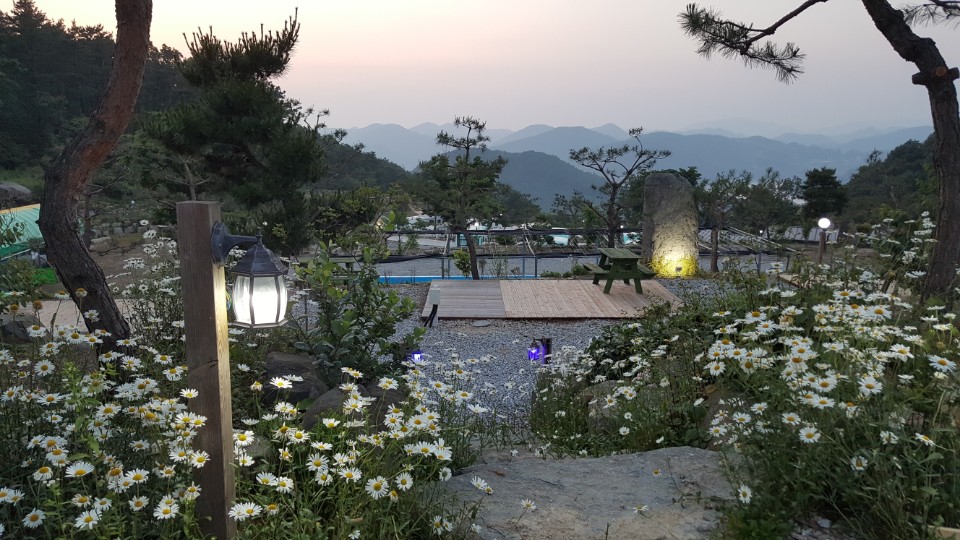 로하스캠핑장카라반