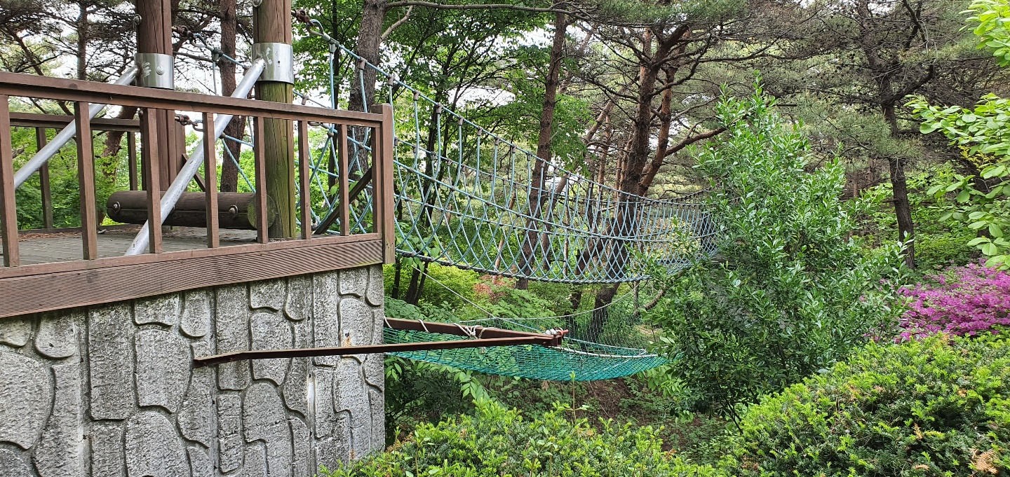 카페다솔