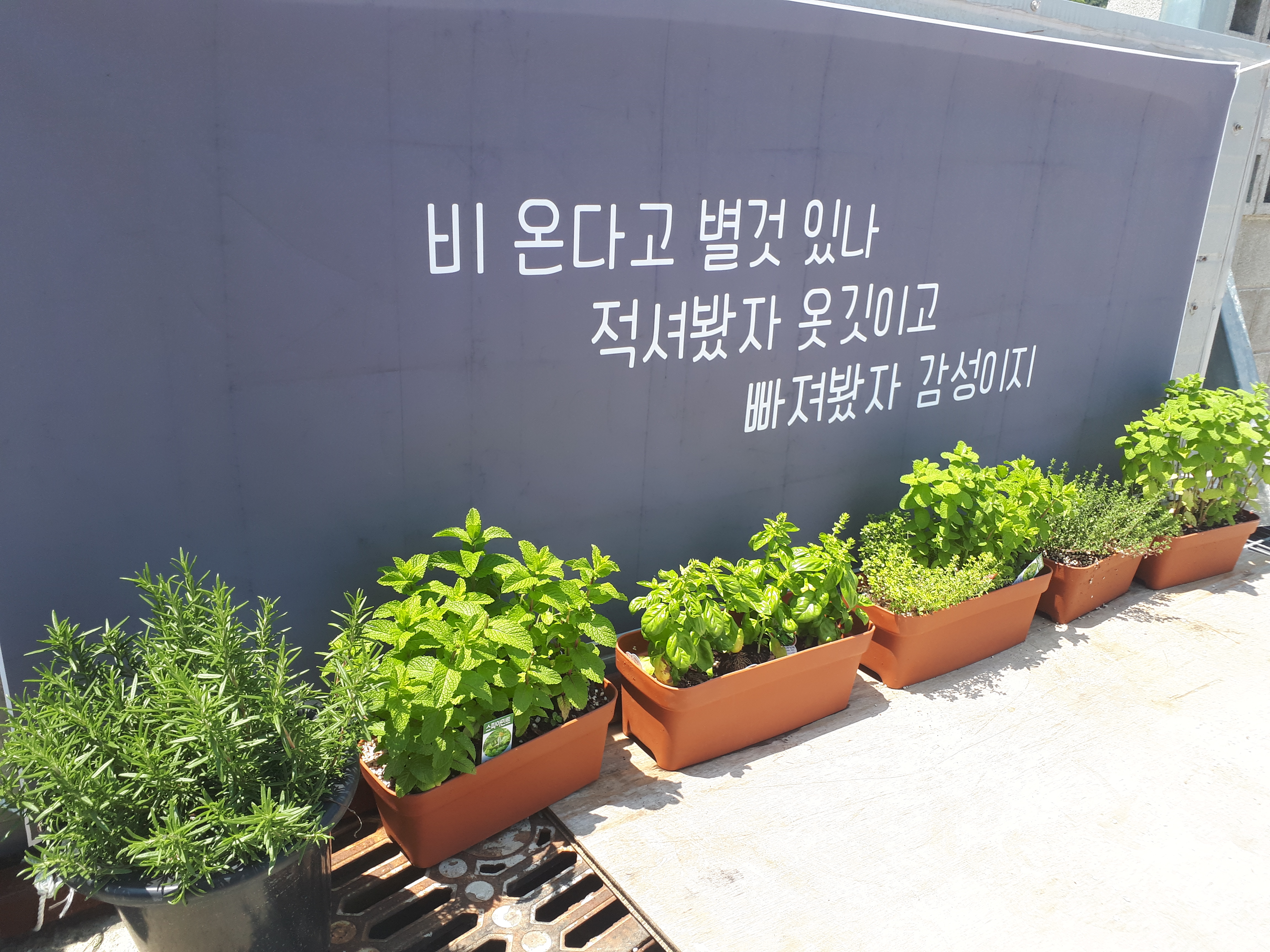 카페블랙