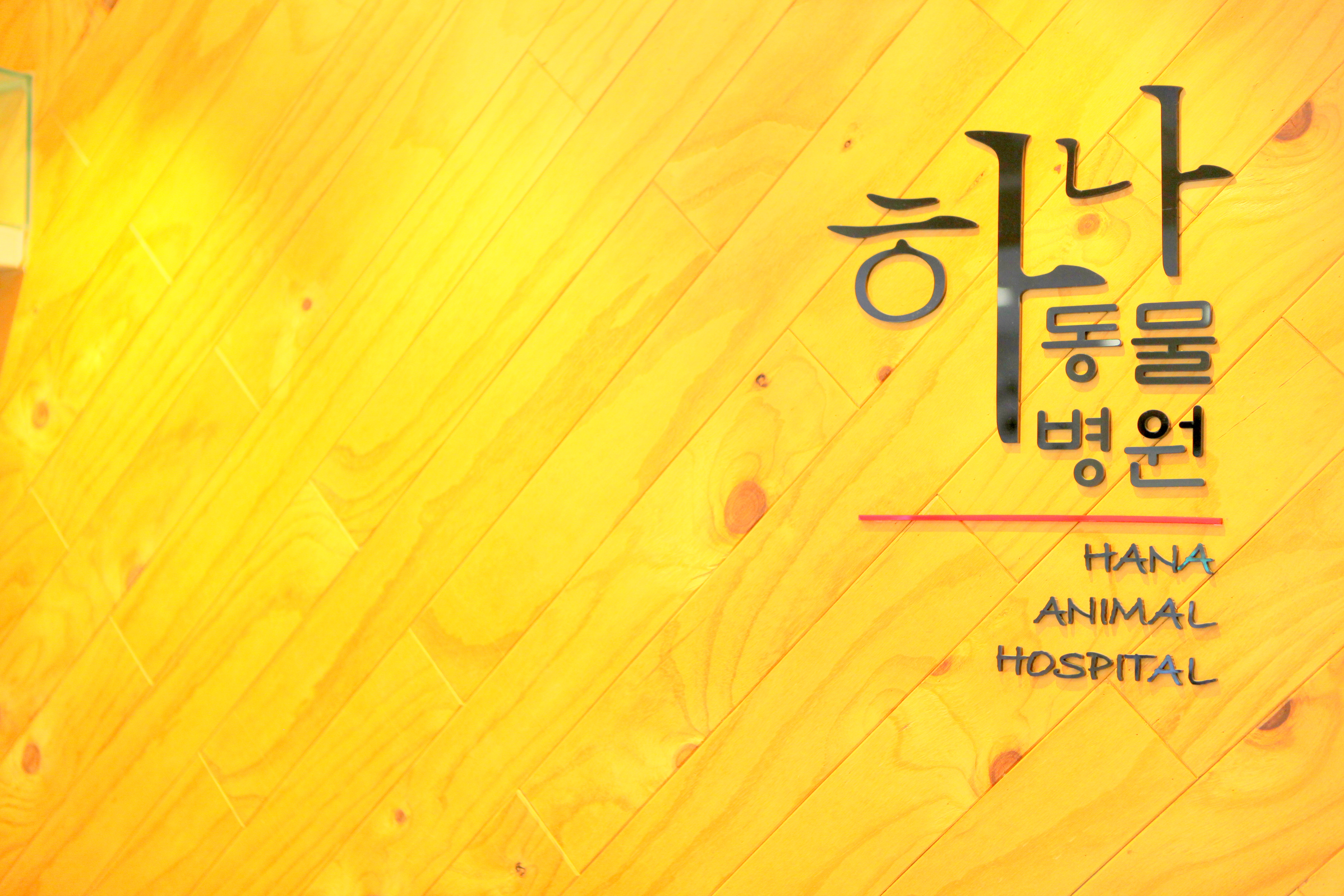 하나동물병원