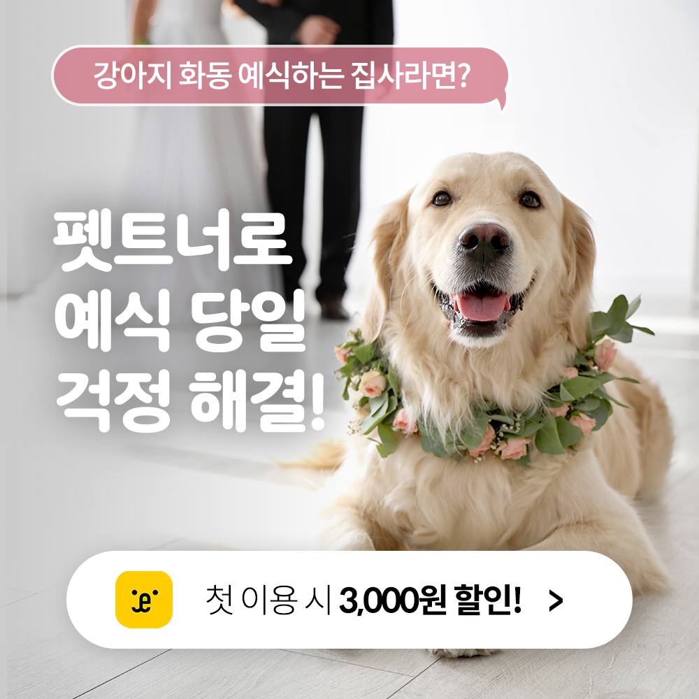 펫트너 대표 이미지