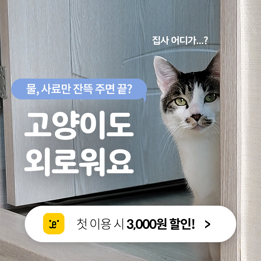 펫트너 대표 이미지