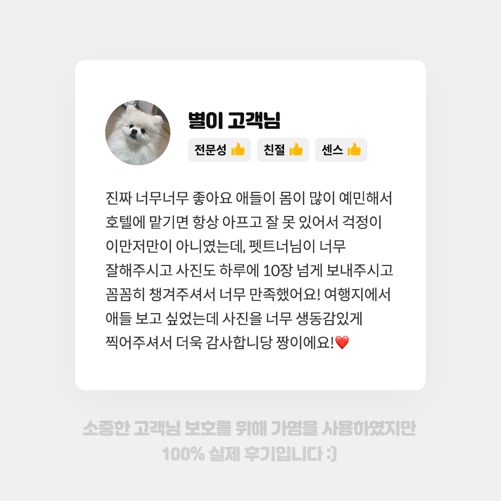펫트너 대표 이미지