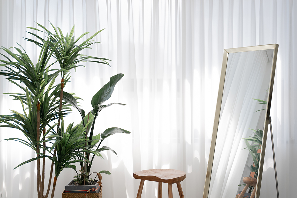 드리밍줌 대표 이미지