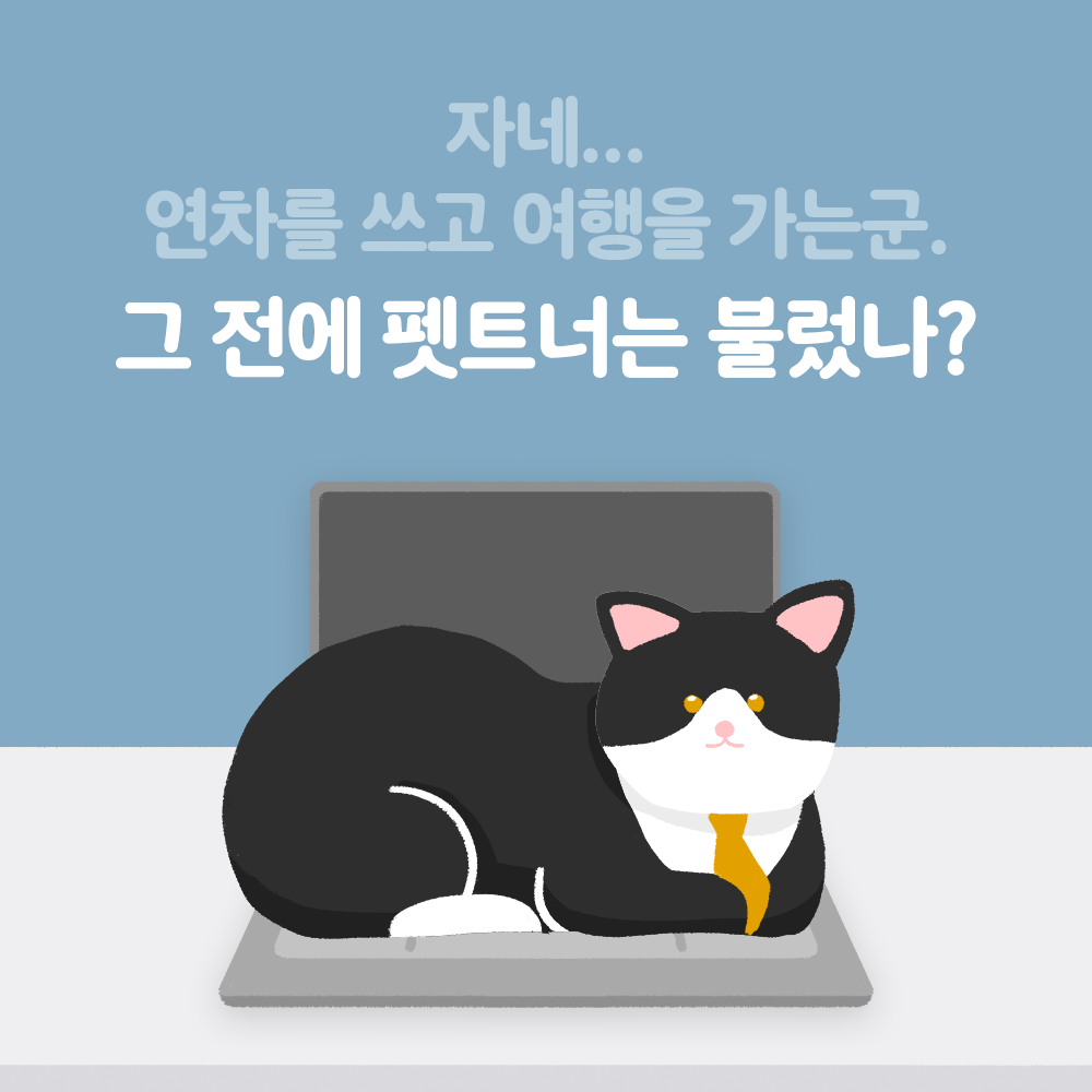 펫트너 대표 이미지