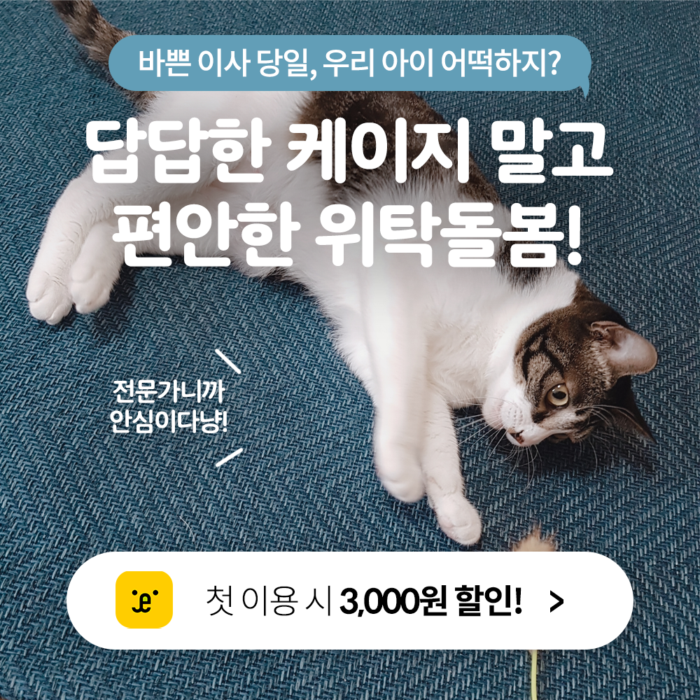 펫트너 대표 이미지