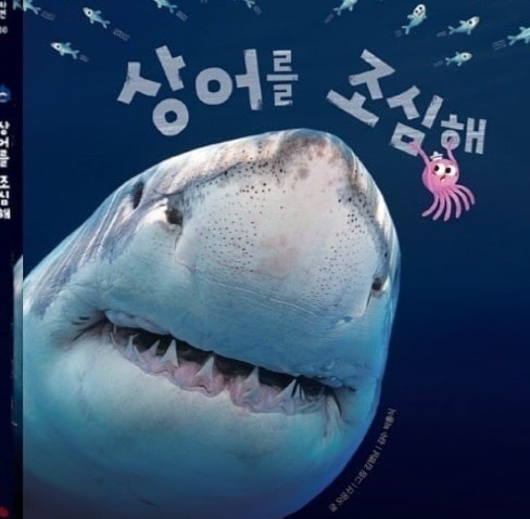 영통어린이서점