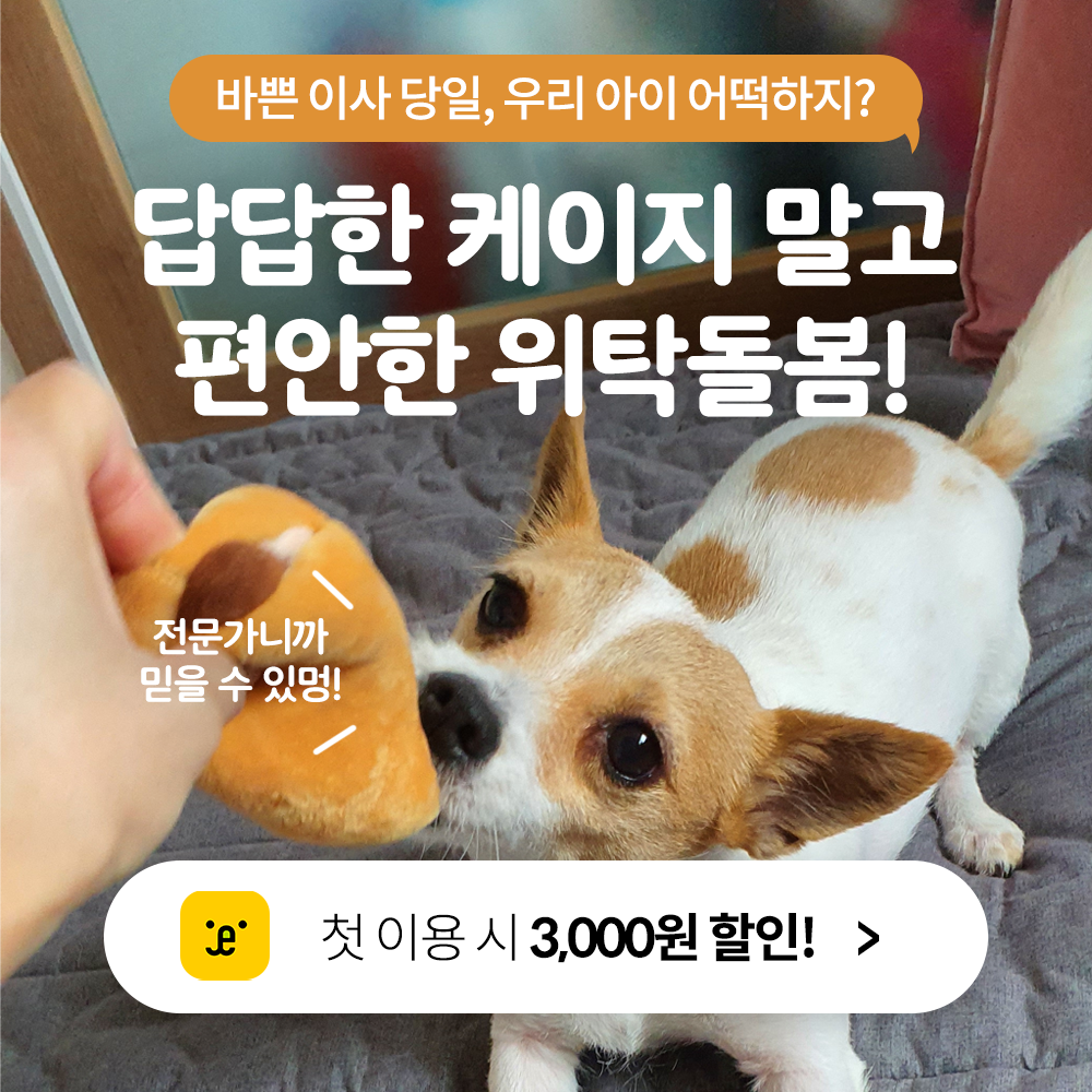 펫트너 대표 이미지