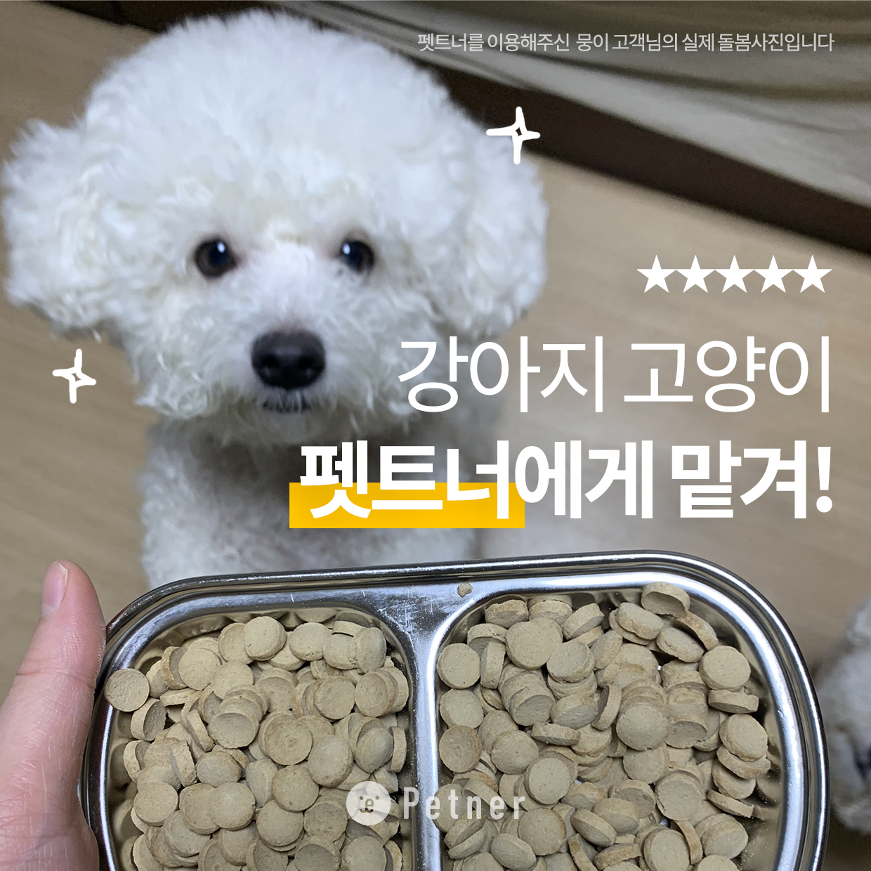 펫트너 대표 이미지