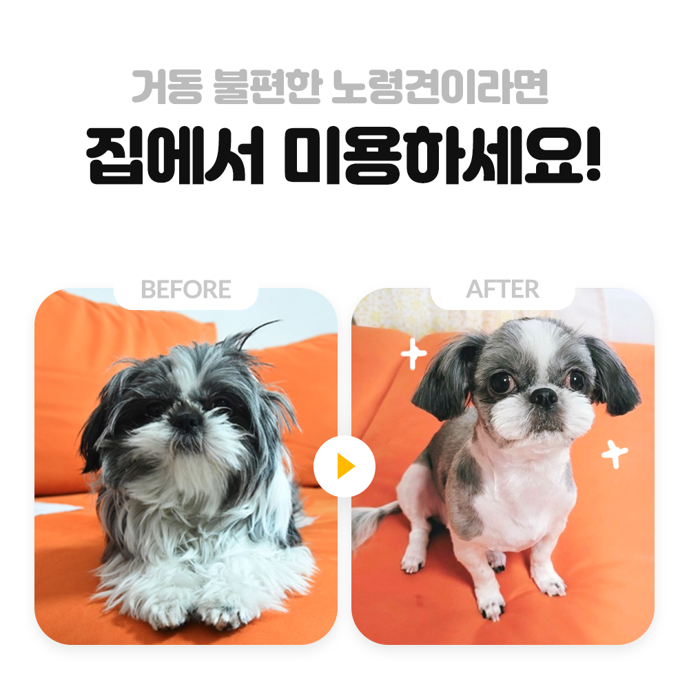 펫트너 대표 이미지