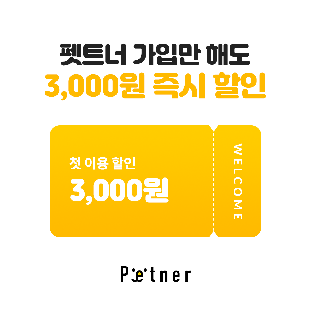펫트너 대표 이미지