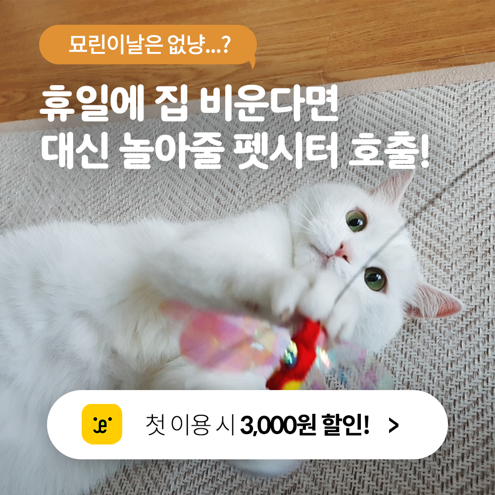 펫트너 대표 이미지