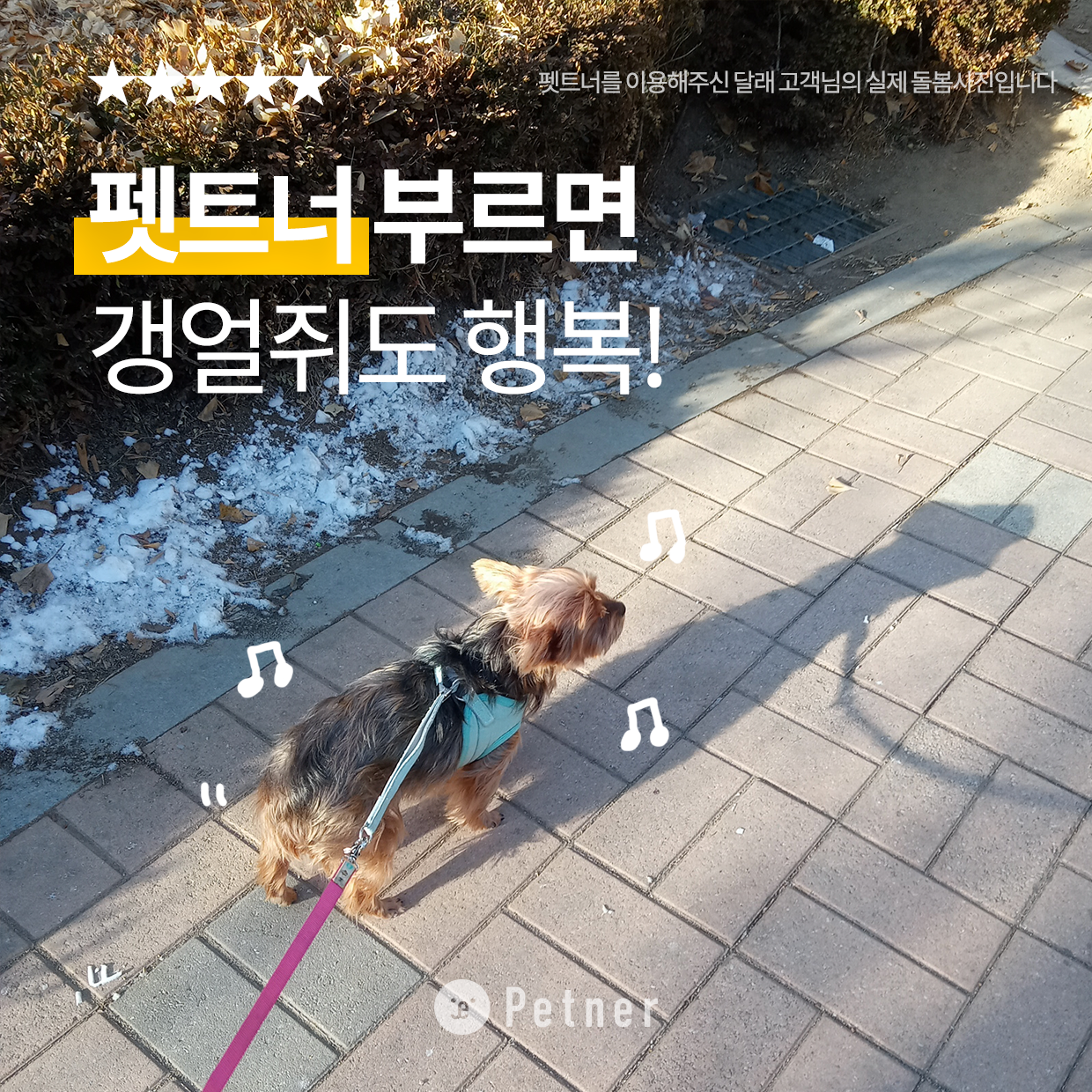 펫트너 대표 이미지