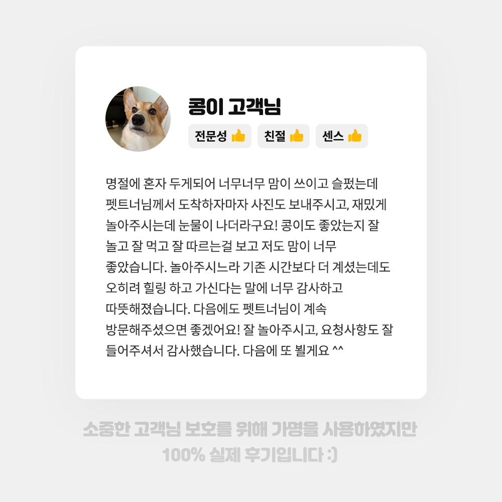 펫트너 대표 이미지
