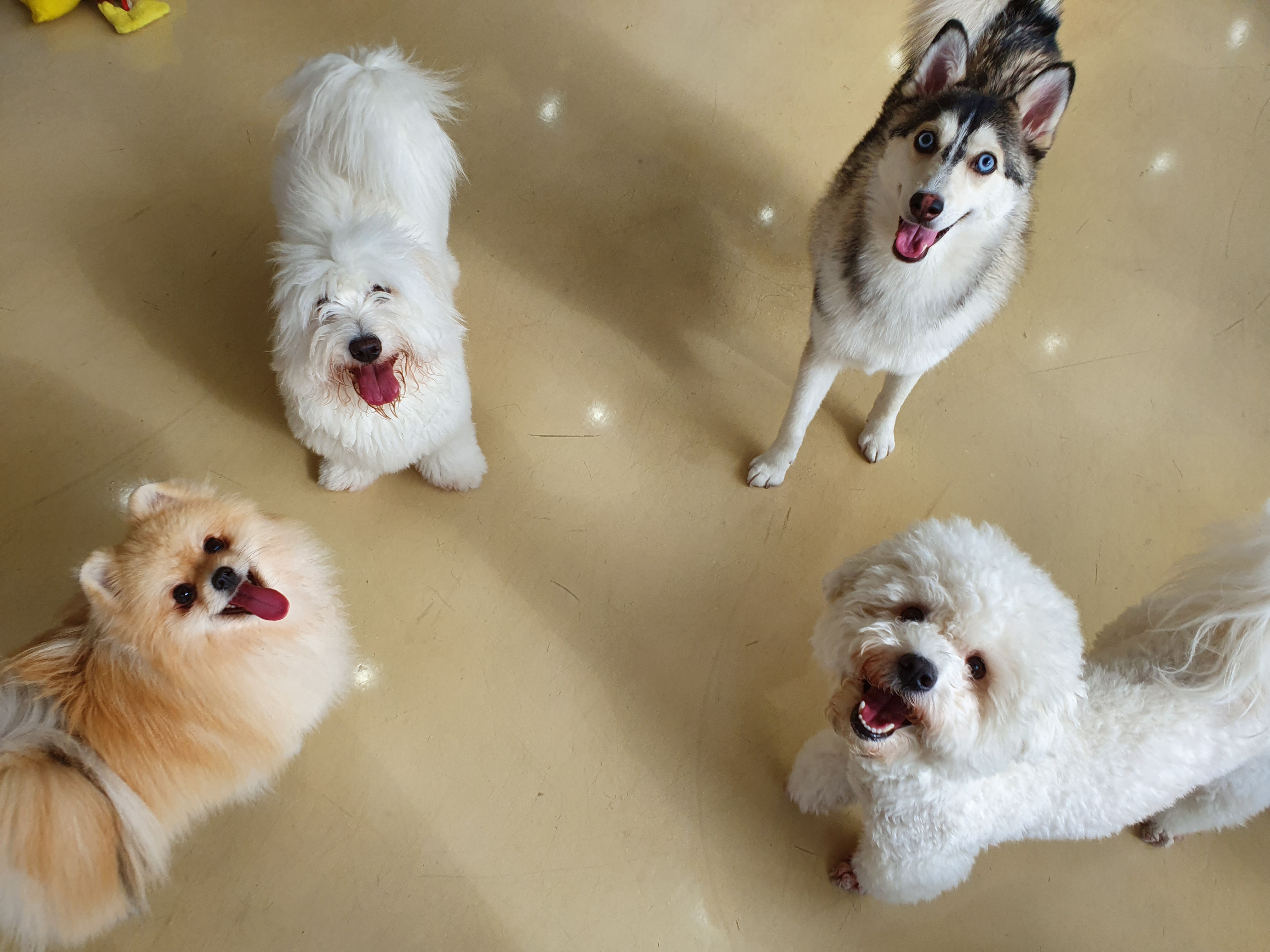 이미지