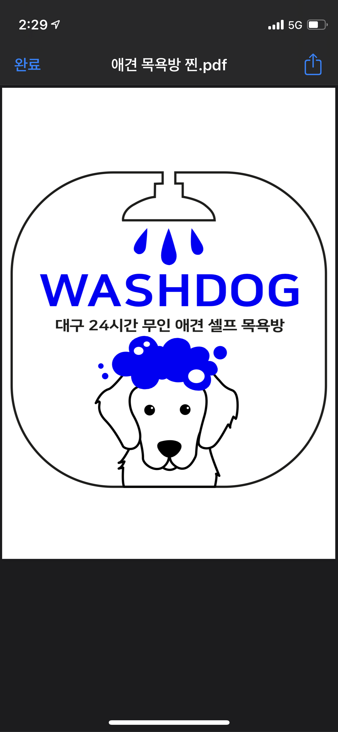 워시독 대표 이미지