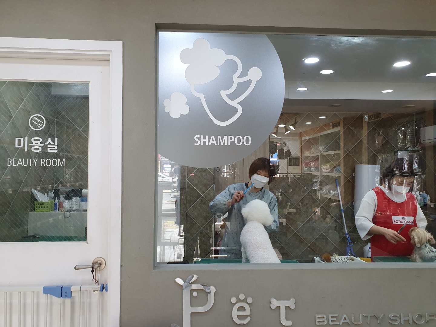 해바라기애견 대표 이미지