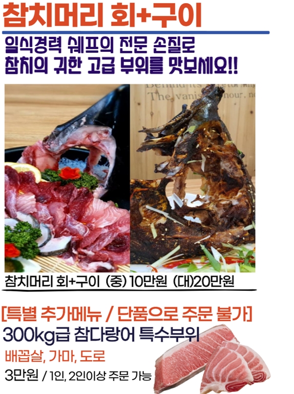 싱싱회예찬