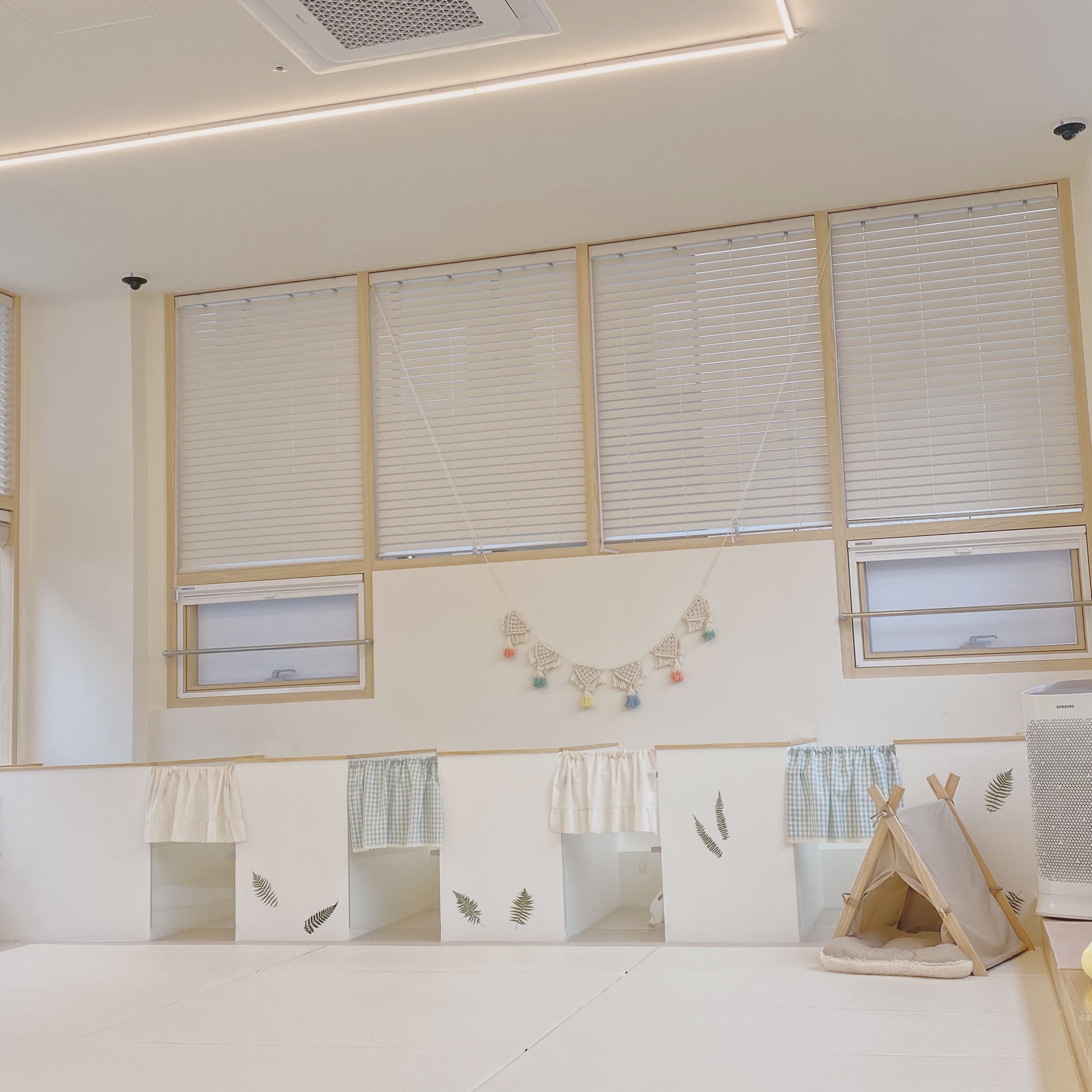 몽쥬 애견유치원 애견호텔 강아지놀이터 대표 이미지