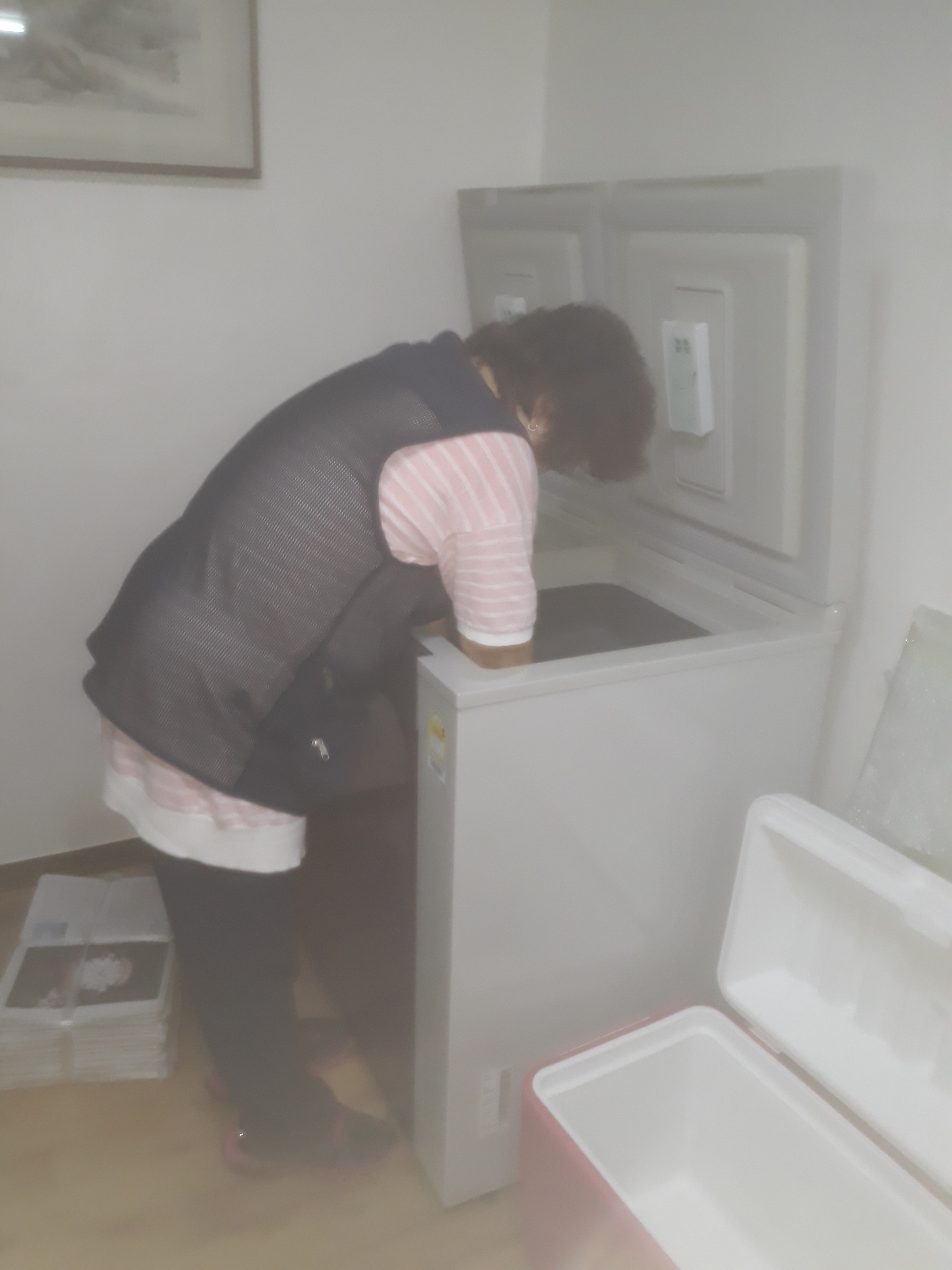 포시즌익스프레스 대표 이미지