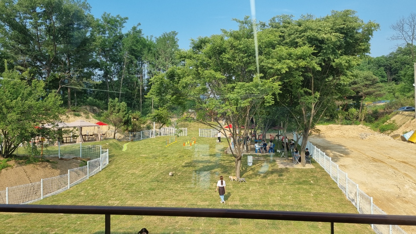 코코앤잭슨 3