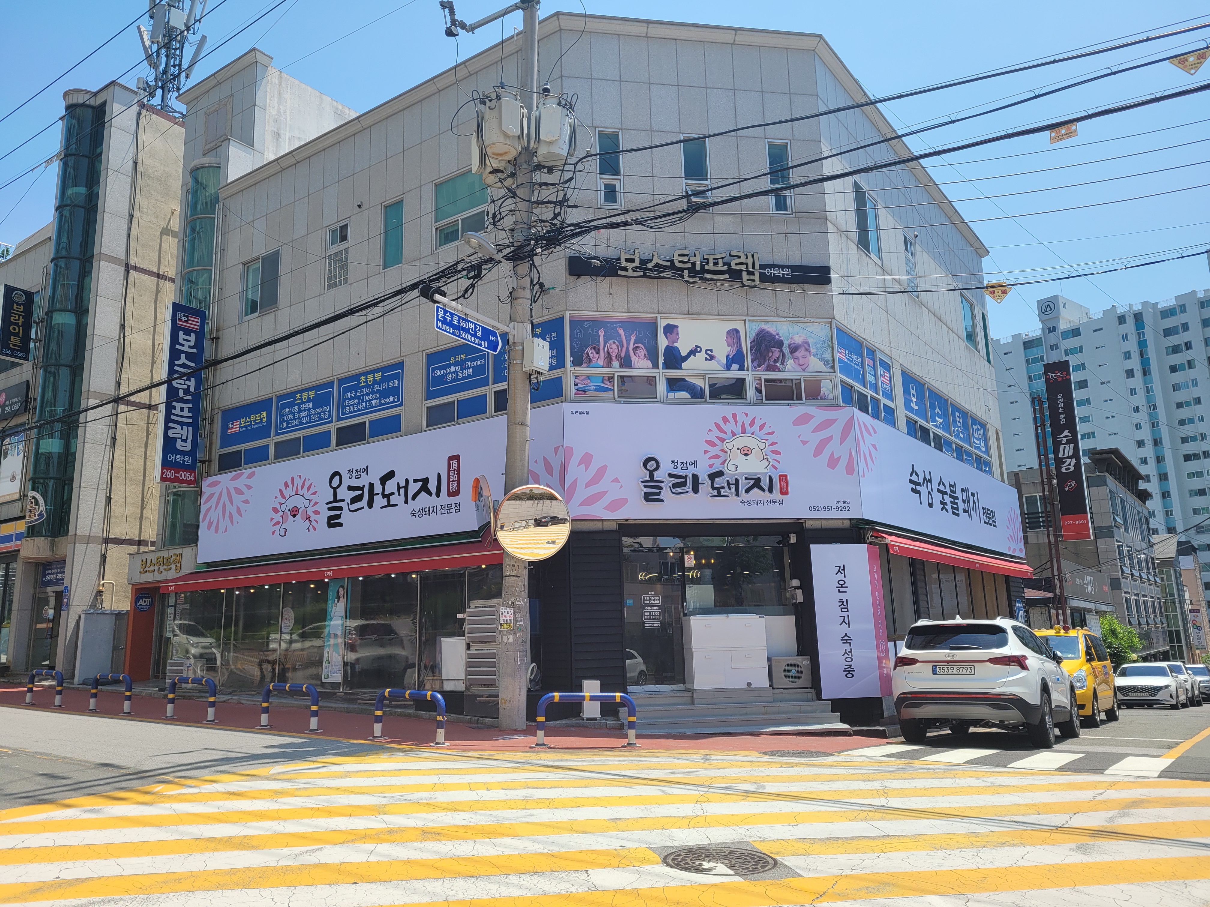 정점에 올라돼지