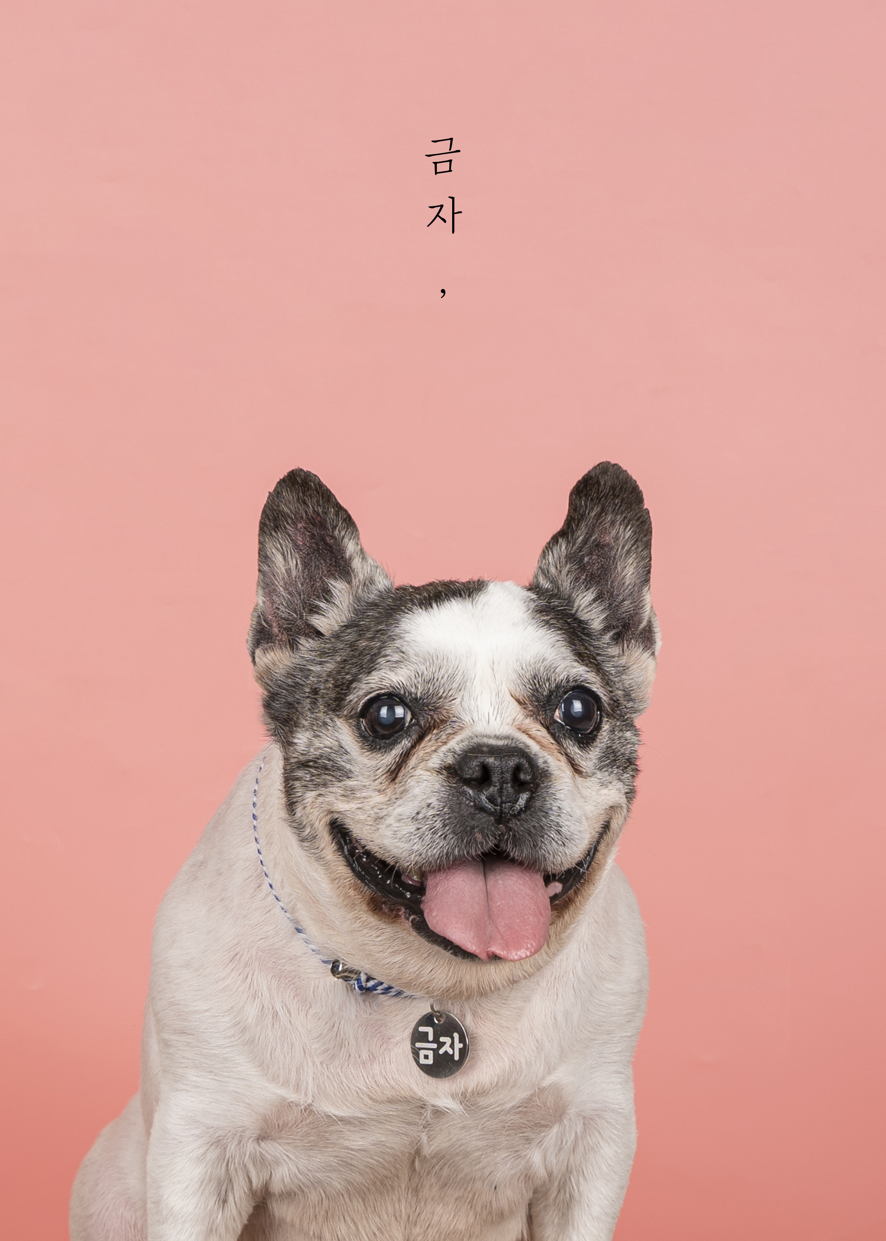 사파리사진관 청주점