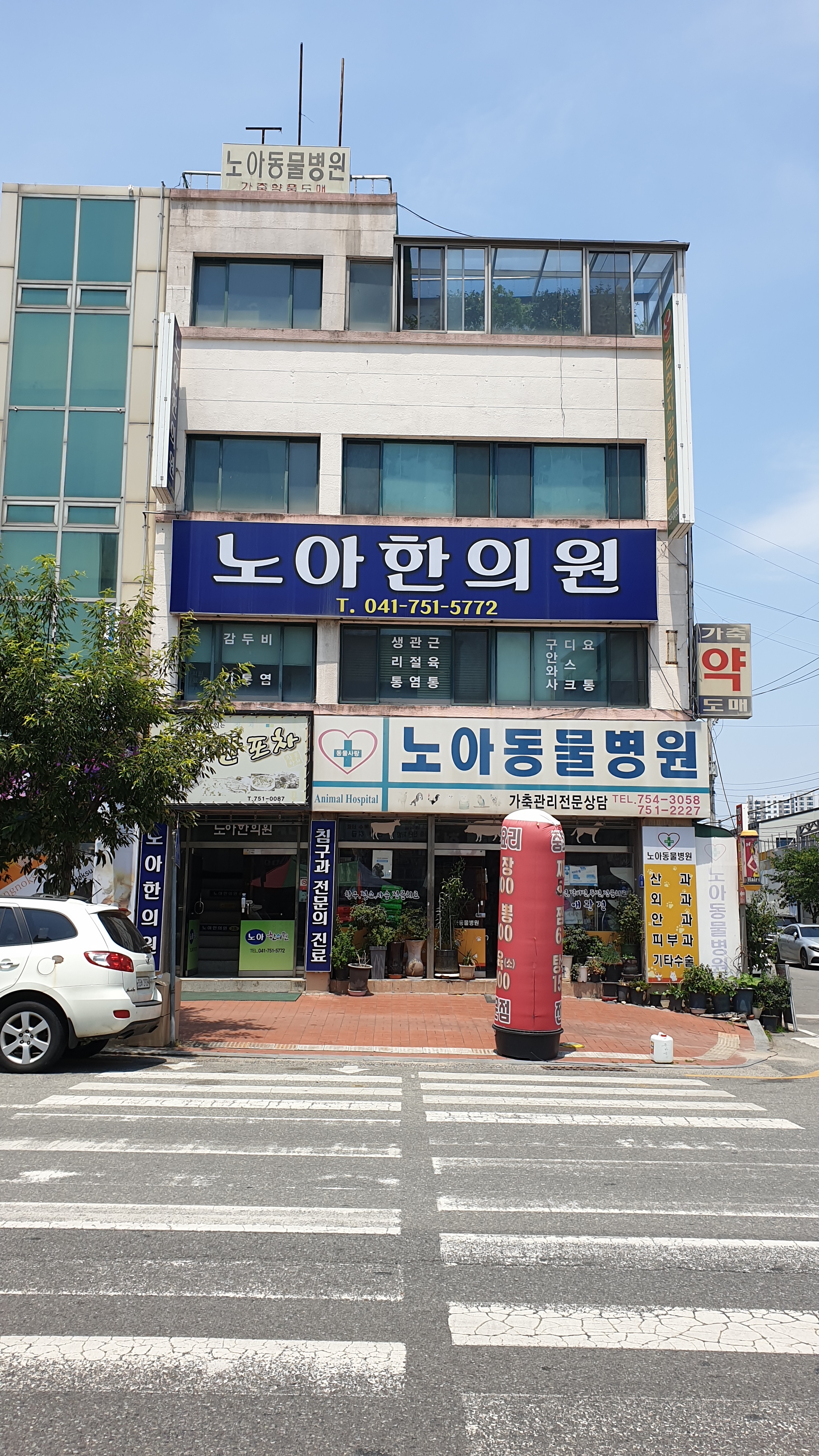 노아한의원
