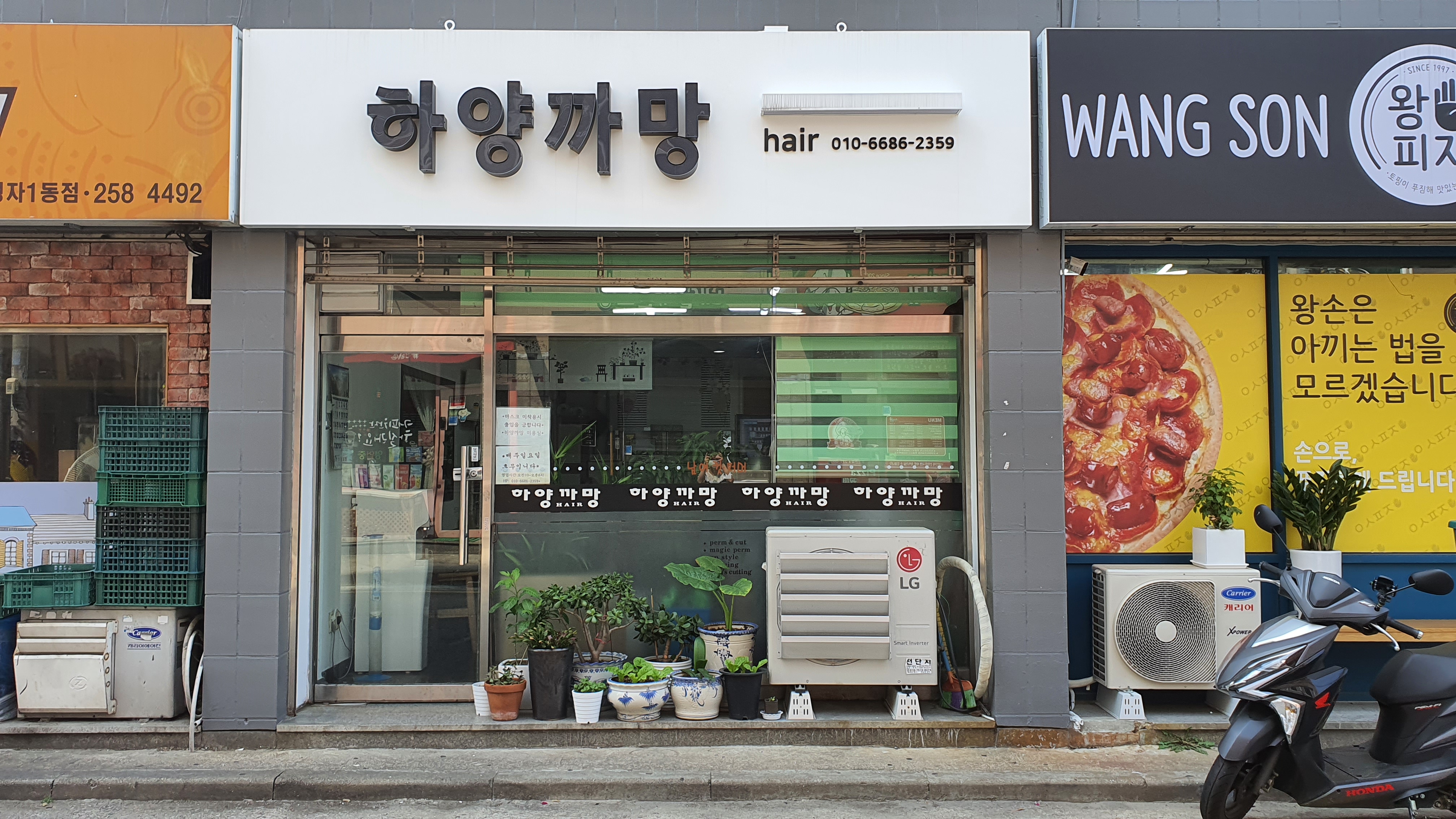 하양까망