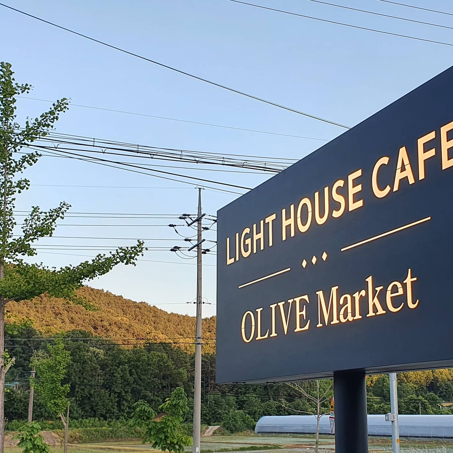라이트하우스 경상 애견맛집