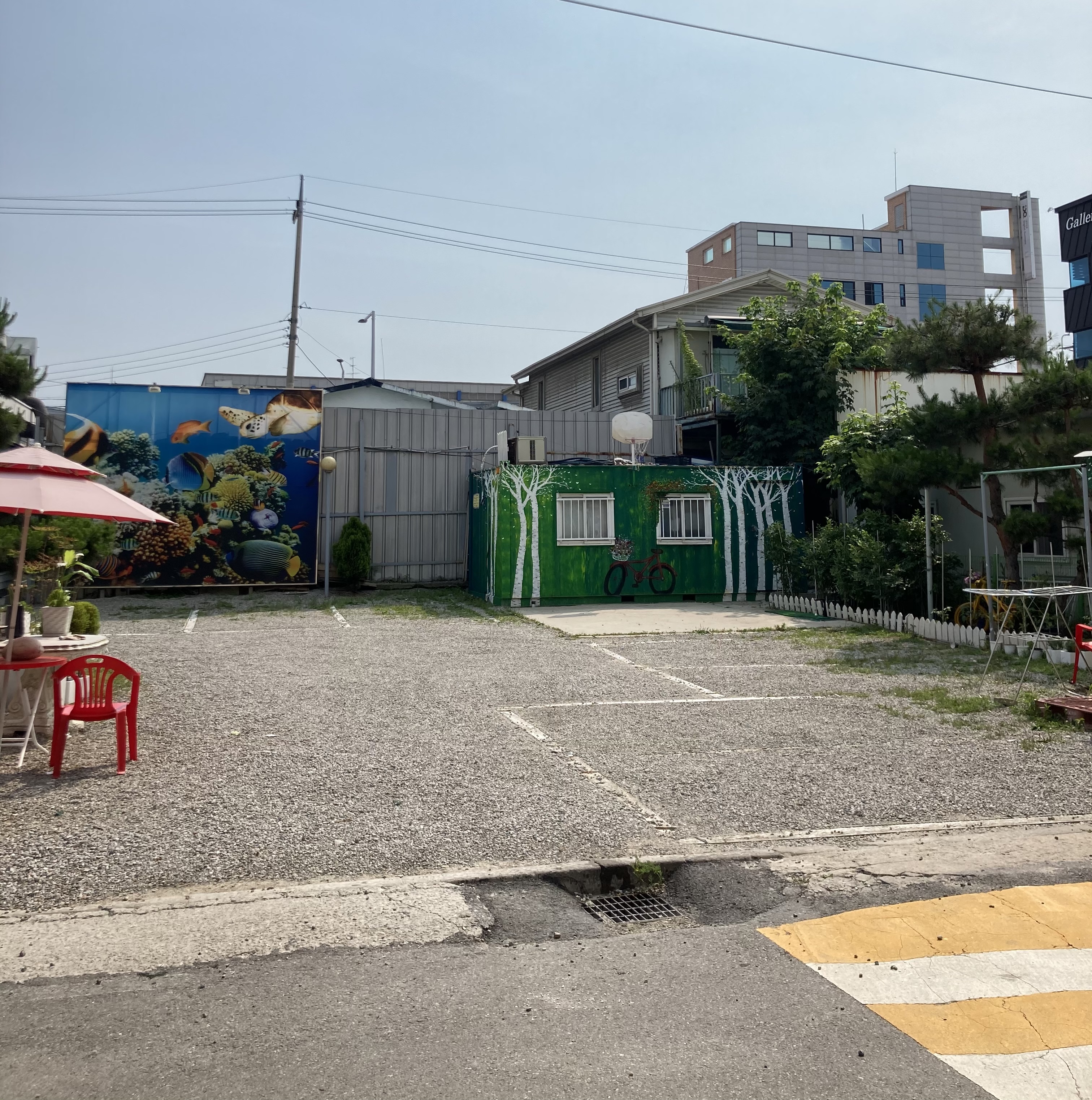 꽃게신랑아구각시